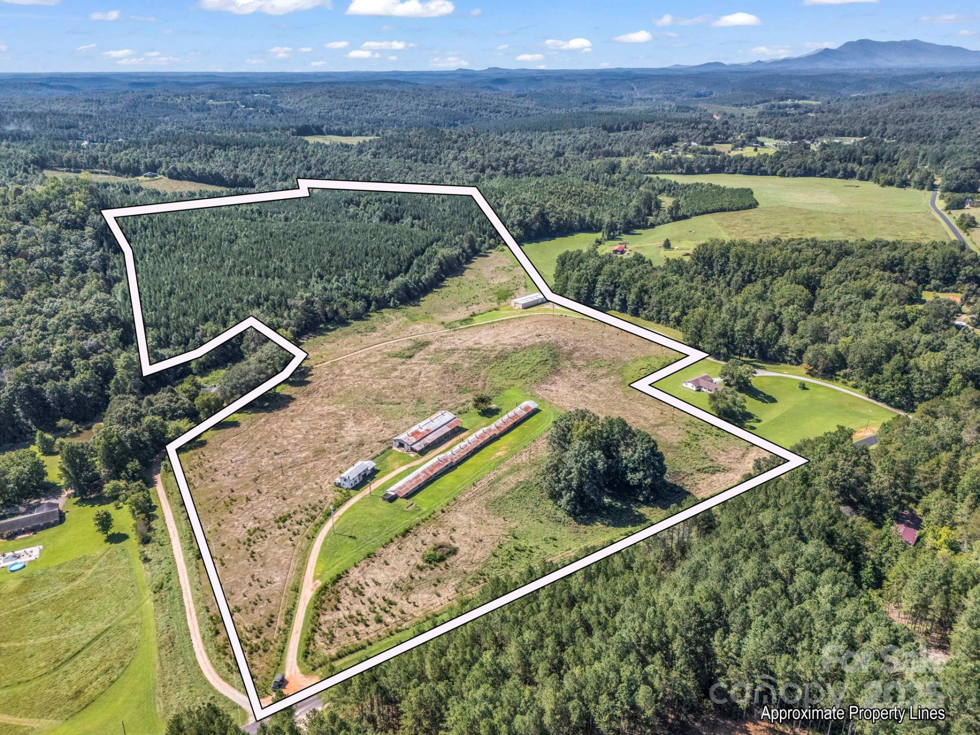 83.67 Acres Pleasant Grove Road - Photo 39