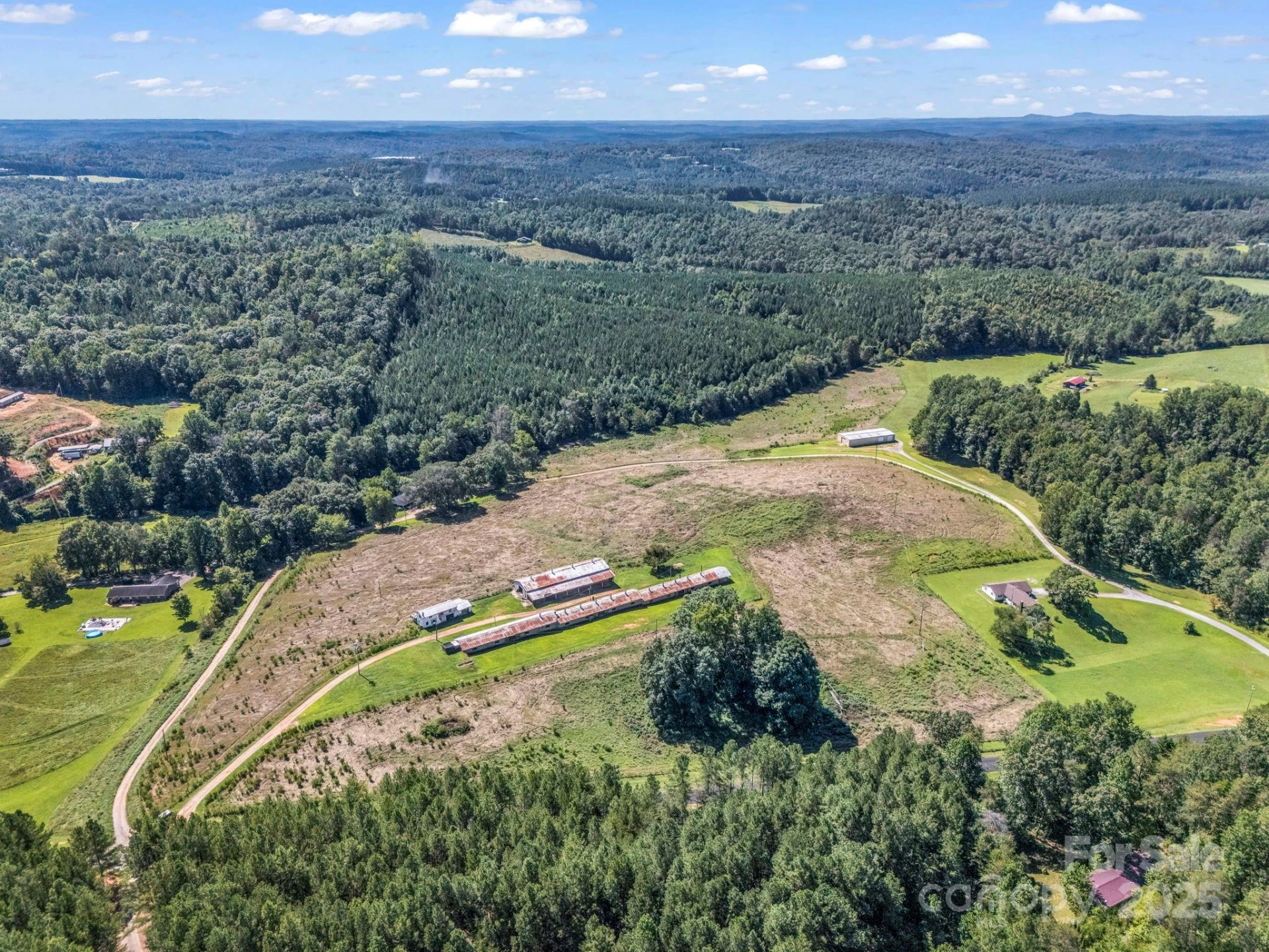83.67 Acres Pleasant Grove Road - Photo 10