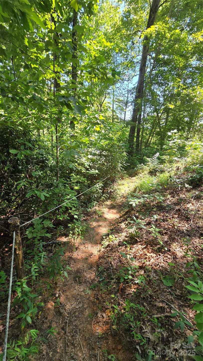 288 Long Ridge Road - Photo 42