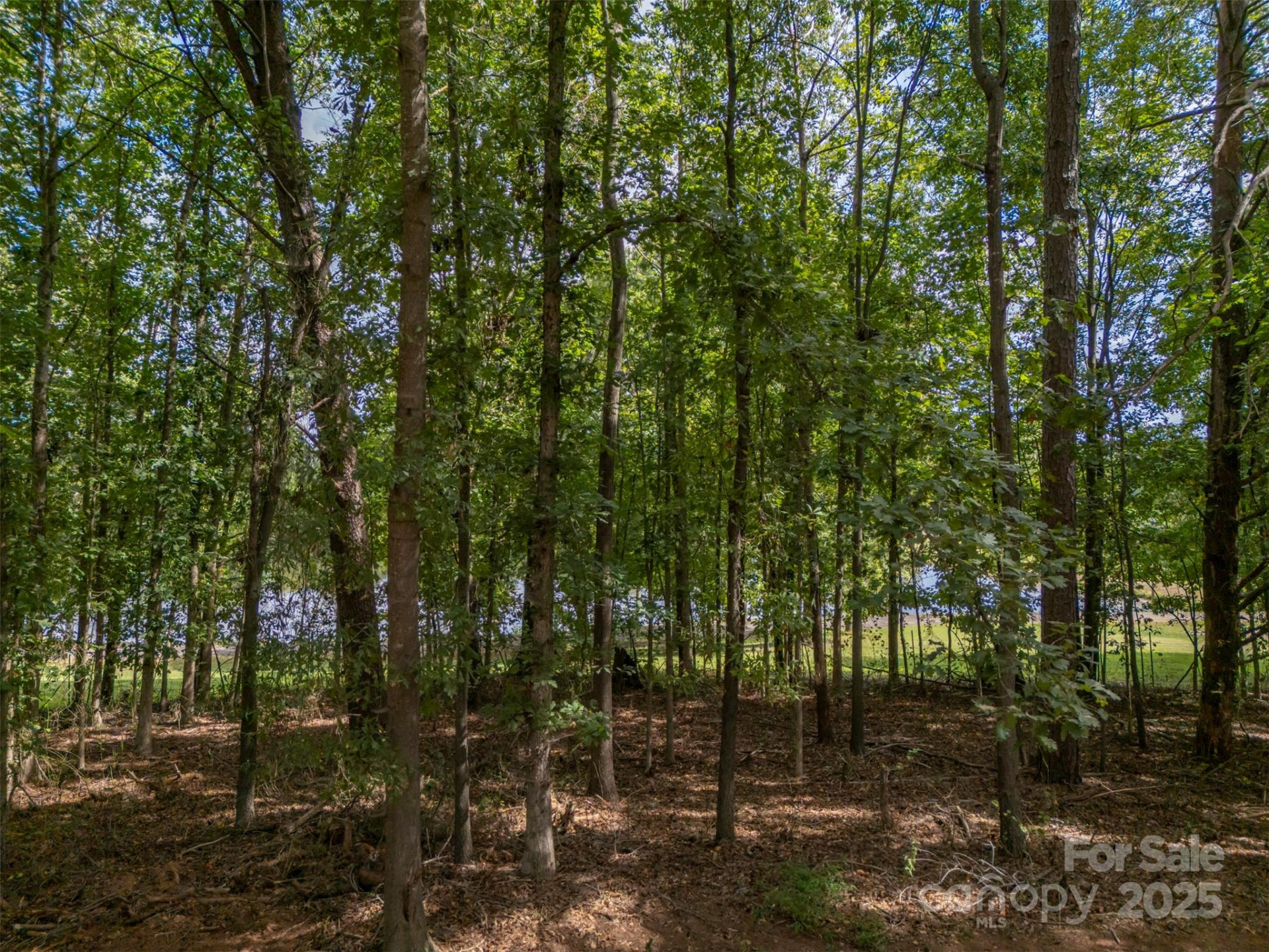 118 Aiken Street - Photo 30