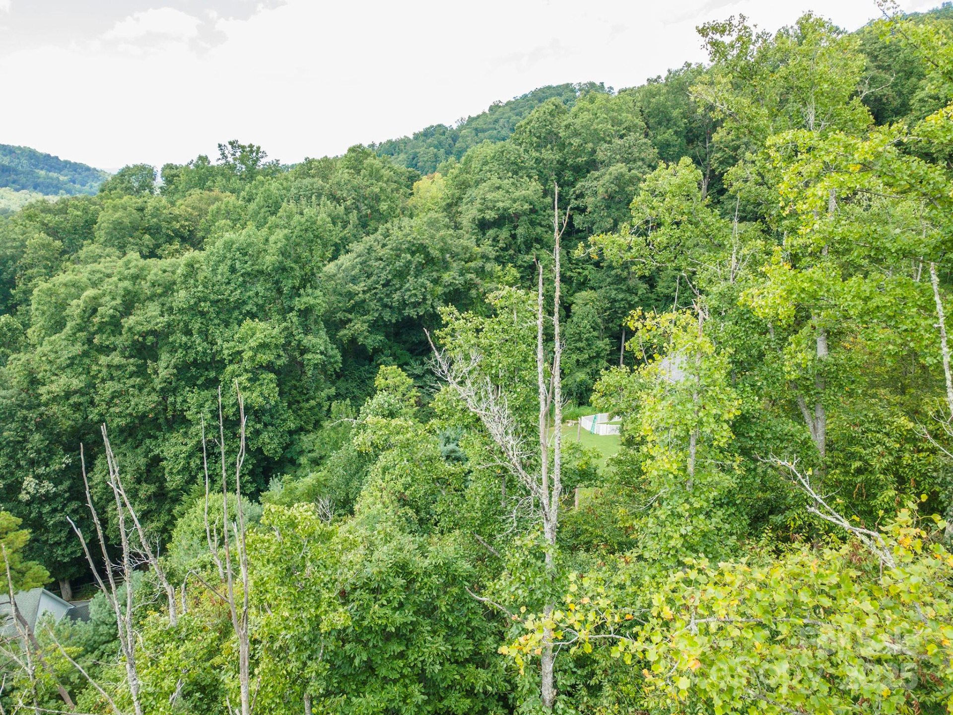 72 Applewood Lane #93 - Photo 11