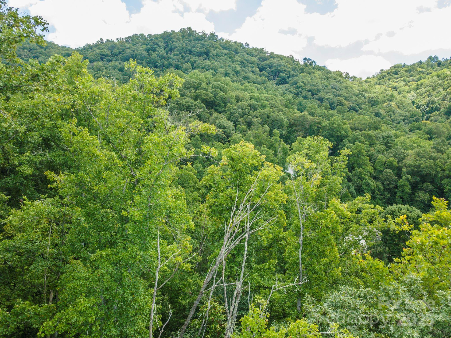 72 Applewood Lane #93 - Photo 12