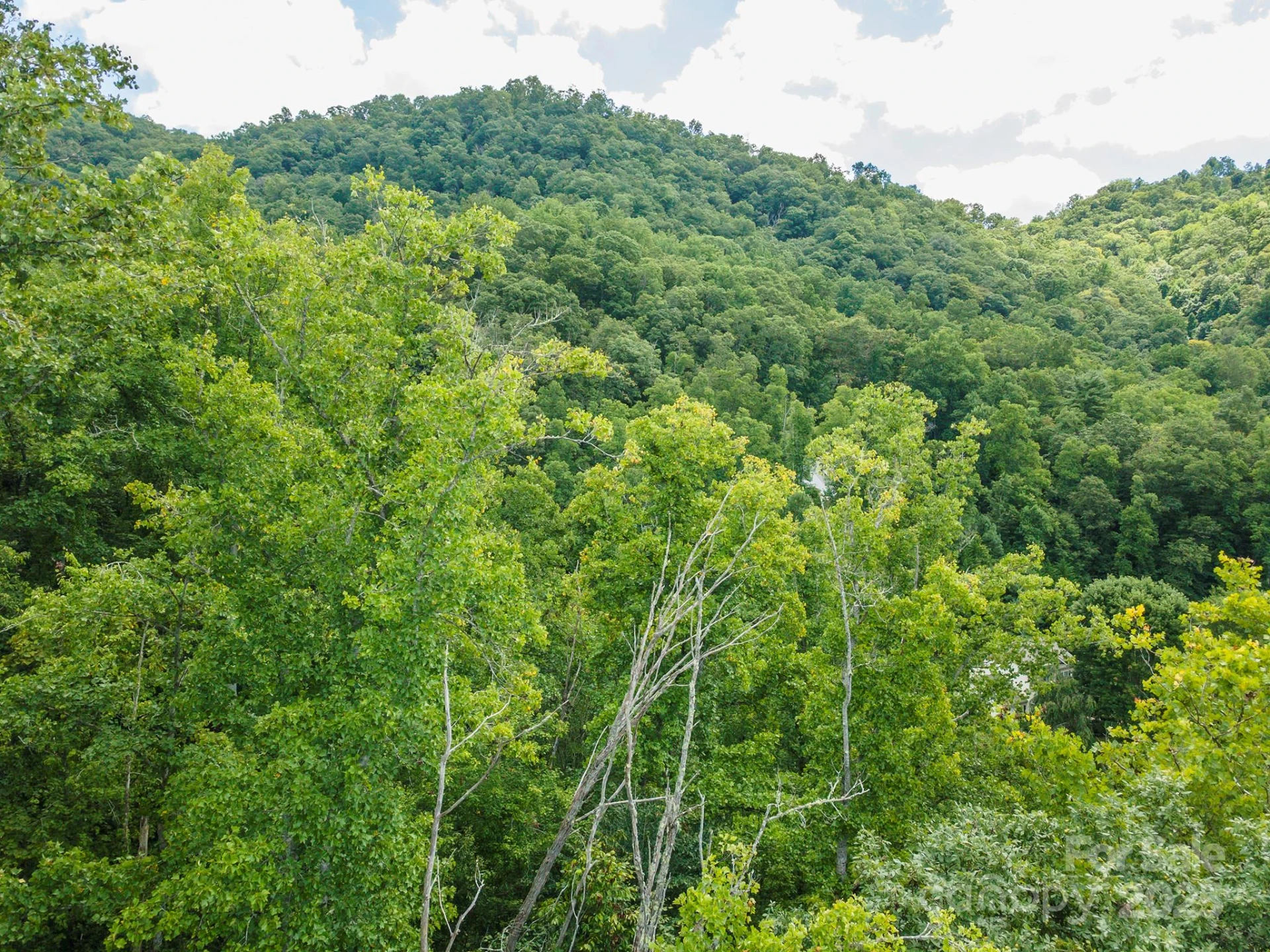 72 Applewood Lane #93 - Photo 12