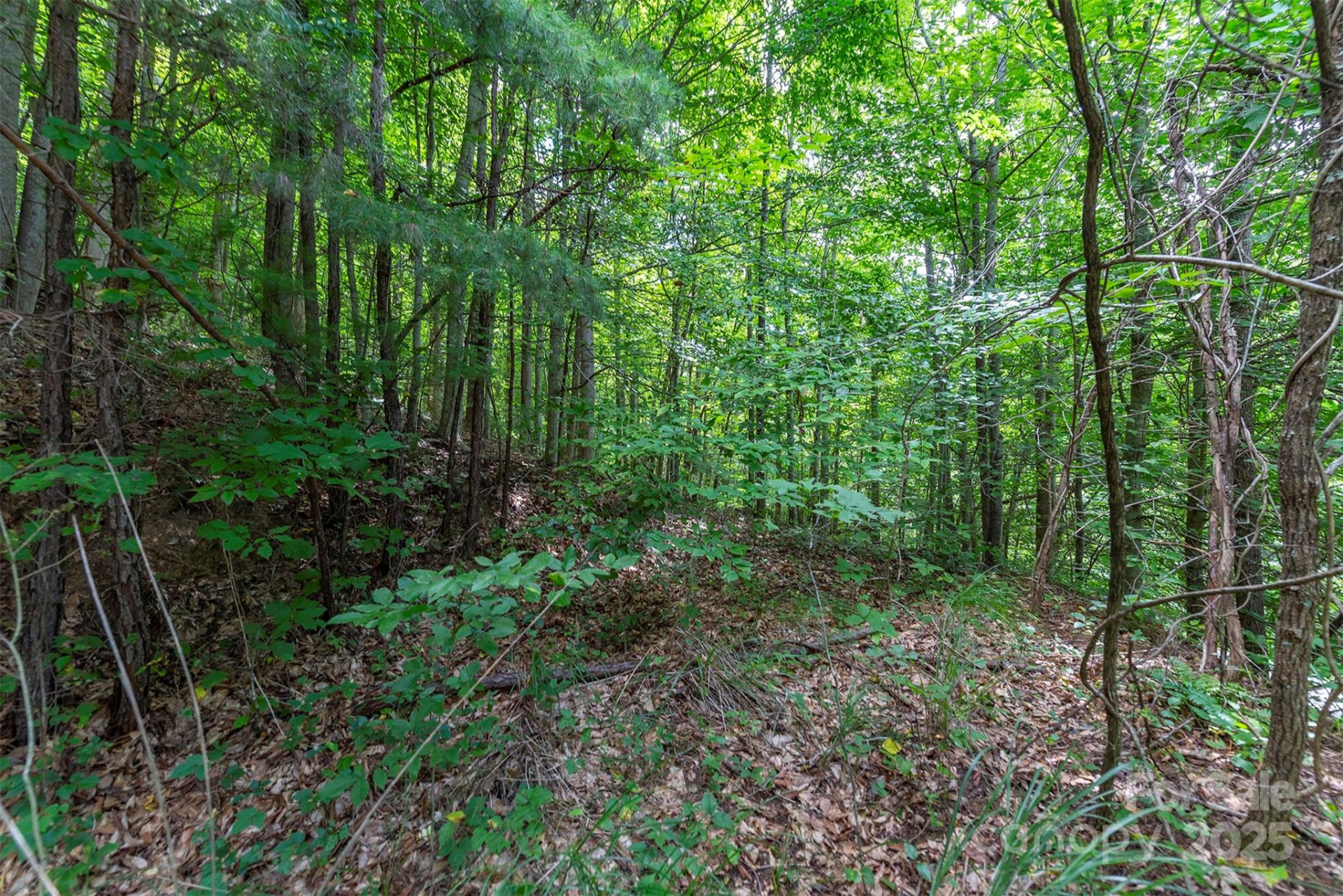 72 Applewood Lane #93 - Photo 3