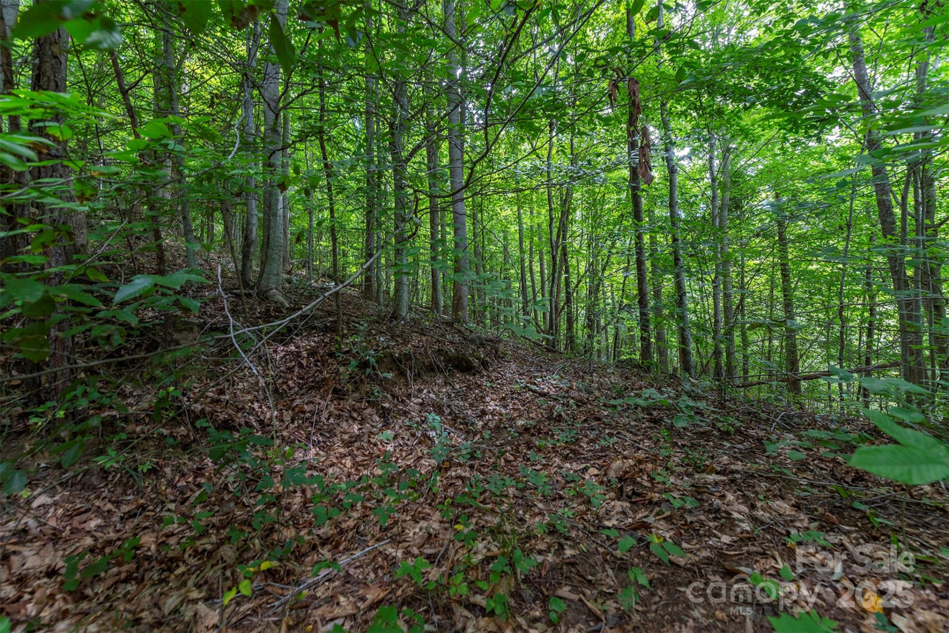 72 Applewood Lane #93 - Photo 4