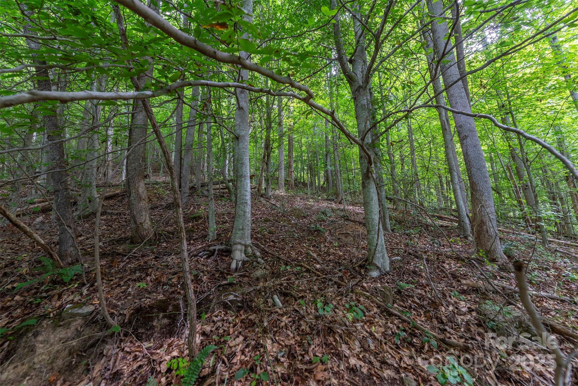 72 Applewood Lane #93 - Photo 5