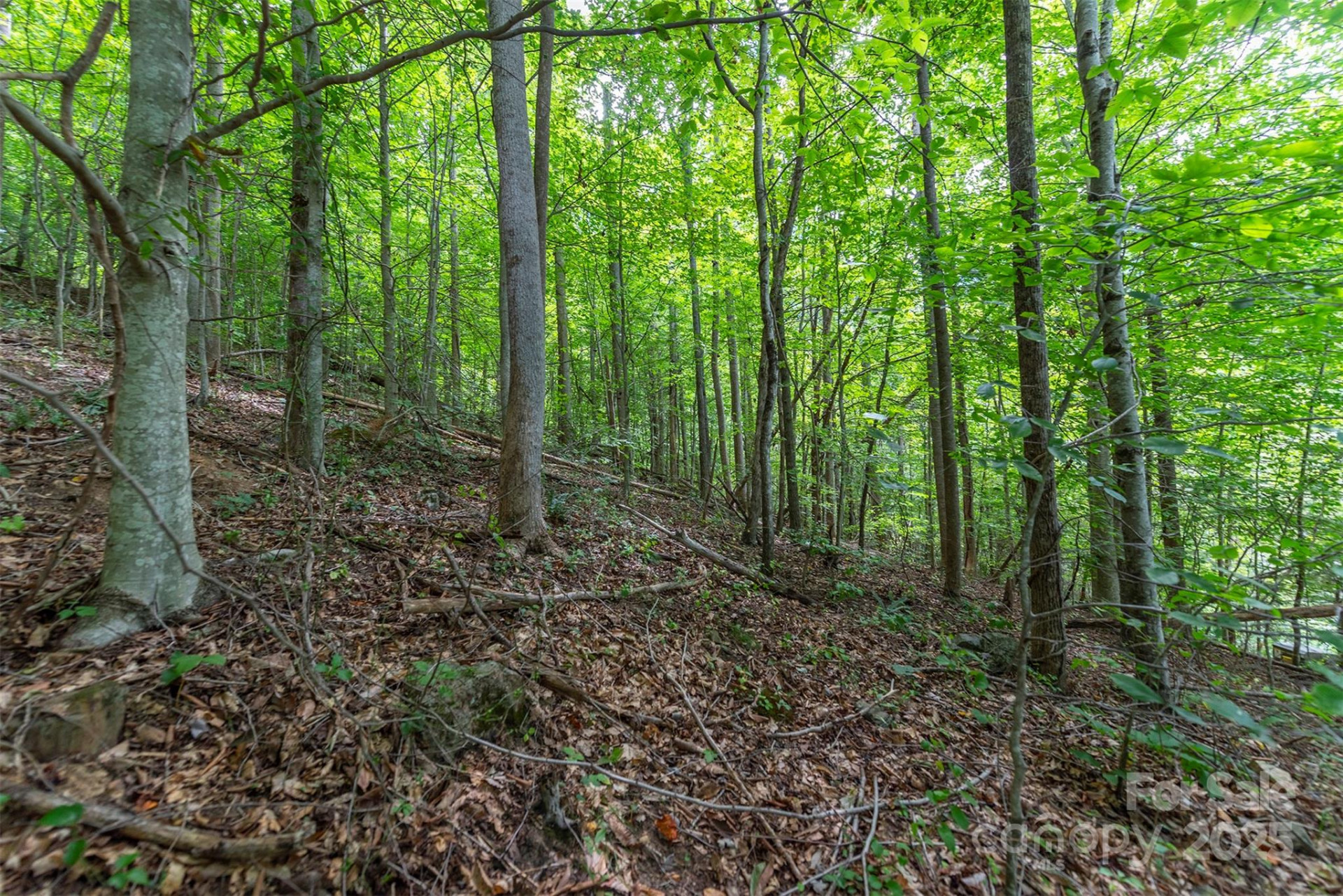 72 Applewood Lane #93 - Photo 6