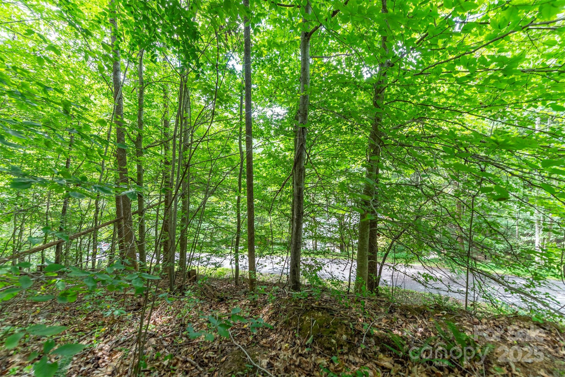 72 Applewood Lane #93 - Photo 7