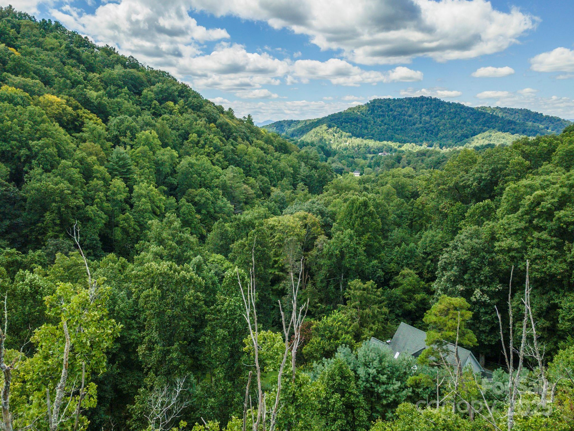 72 Applewood Lane #93 - Photo 9