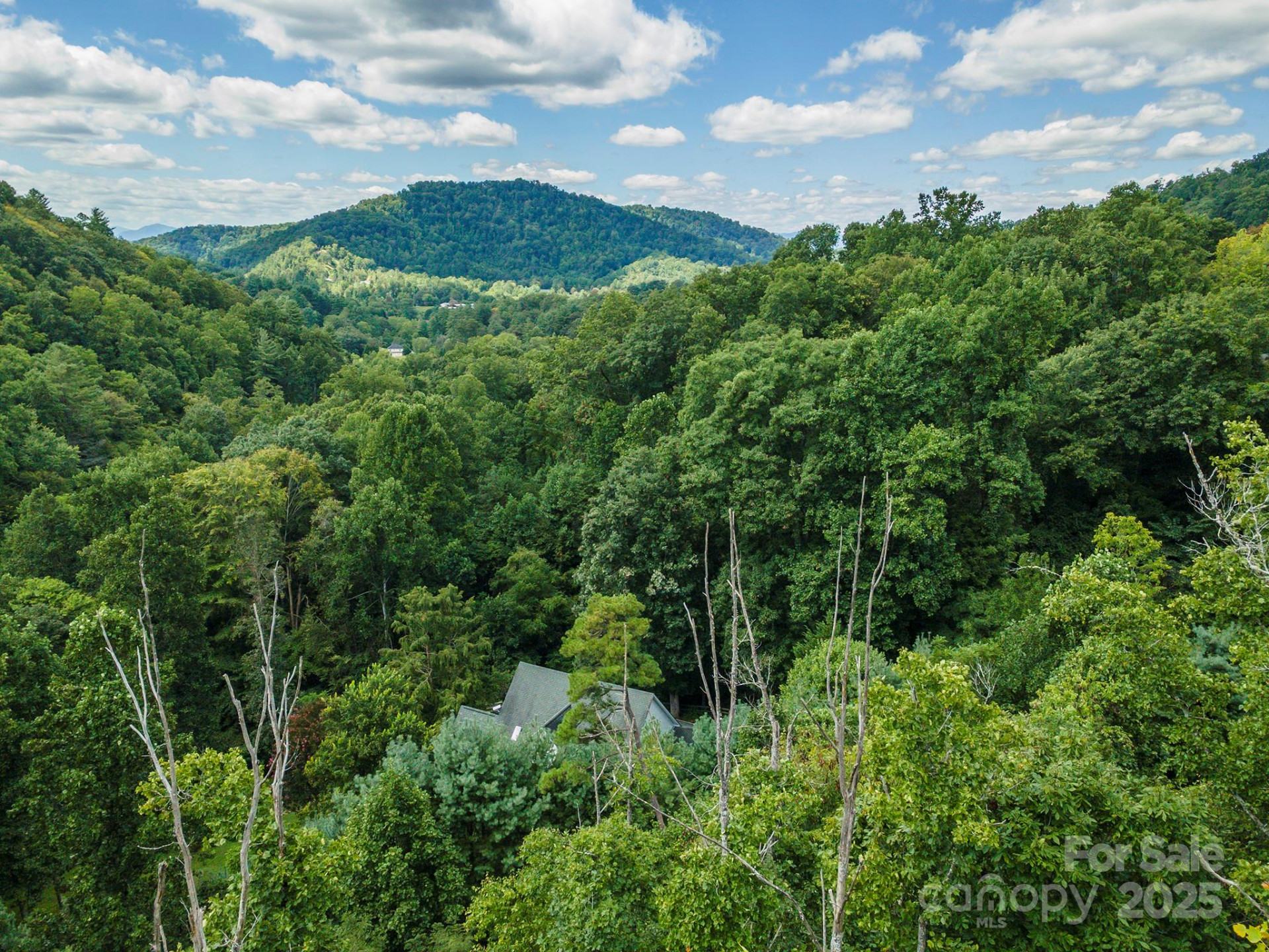 72 Applewood Lane #93 - Photo 10