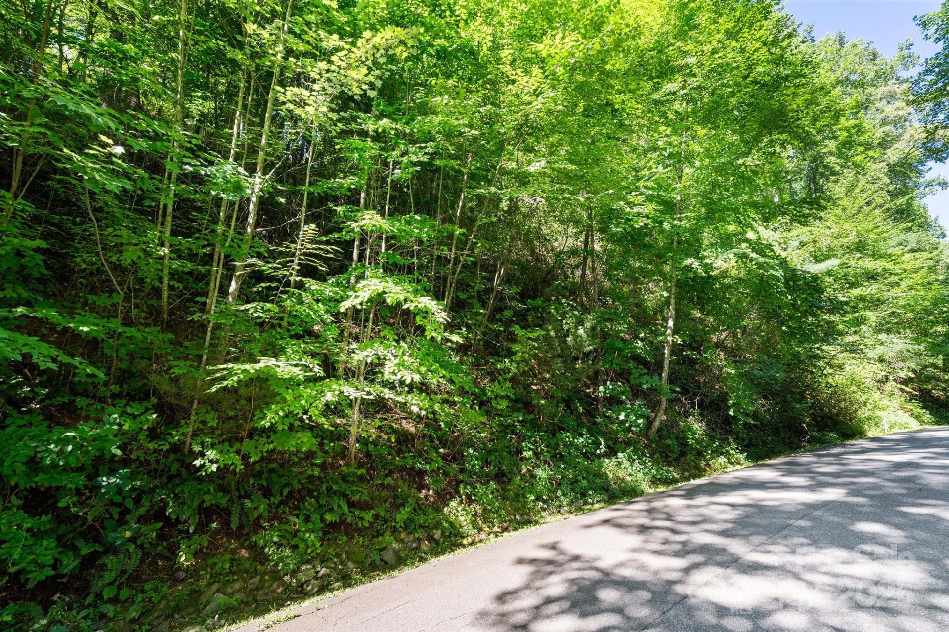 99999 Spy Rock Road - Photo 11