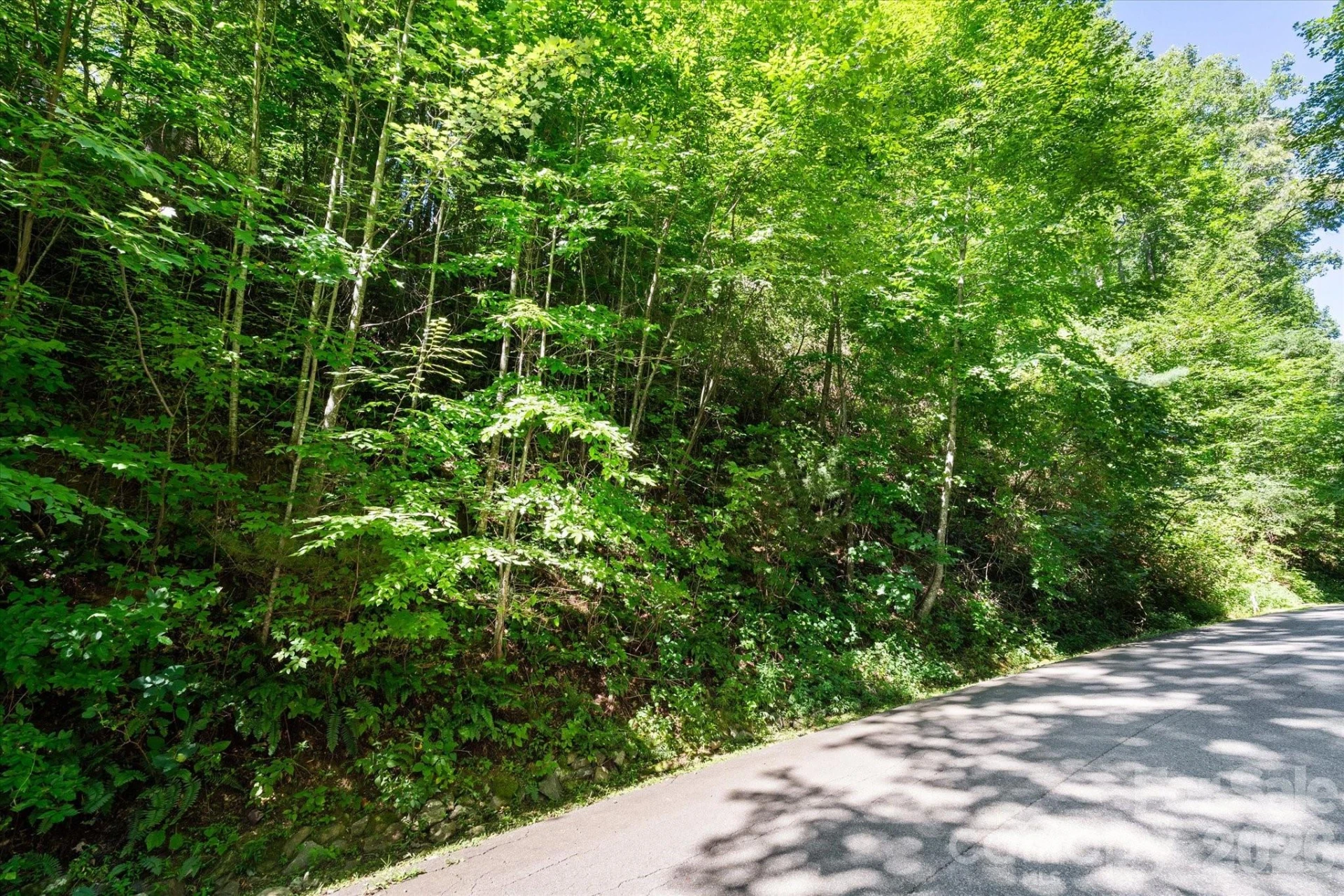 99999 Spy Rock Road - Photo 21