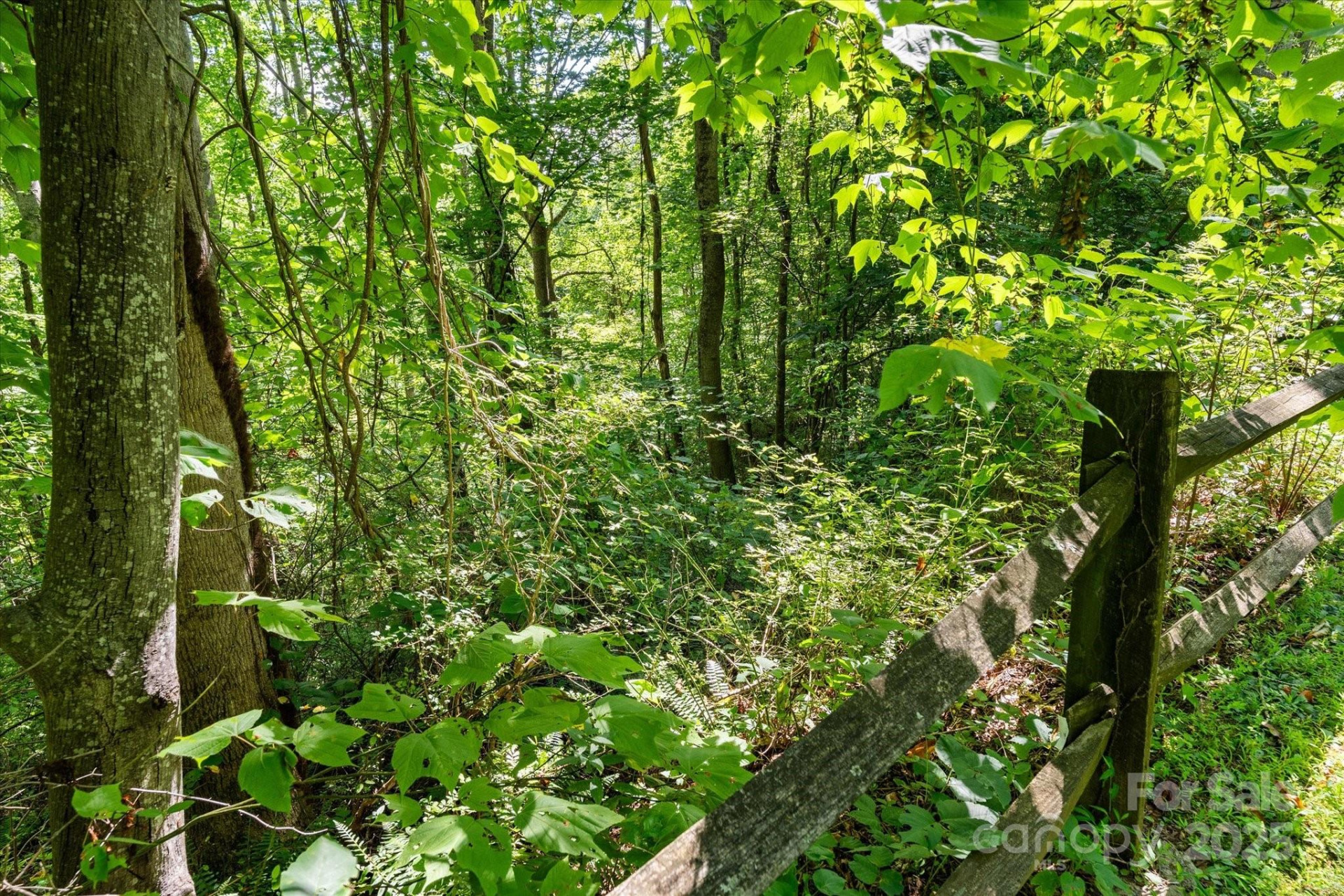 99999 Spy Rock Road - Photo 12