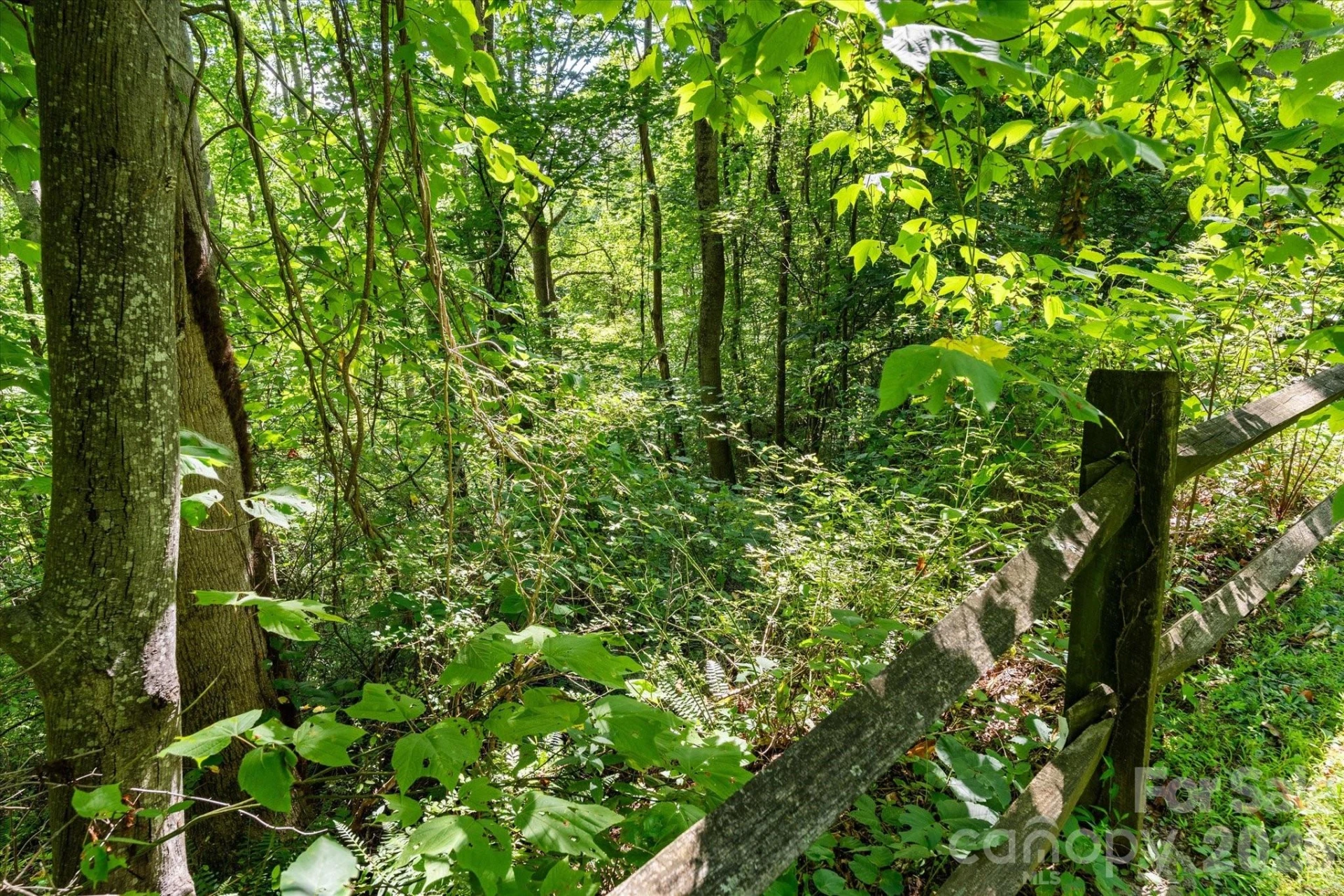 99999 Spy Rock Road - Photo 23