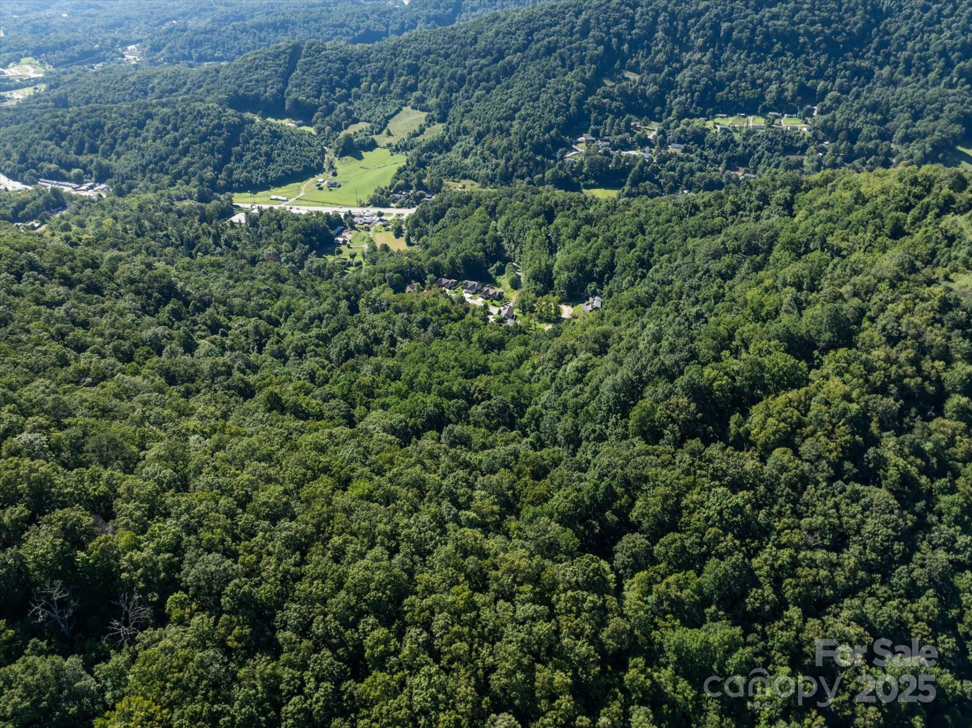 99999 Spy Rock Road - Photo 15