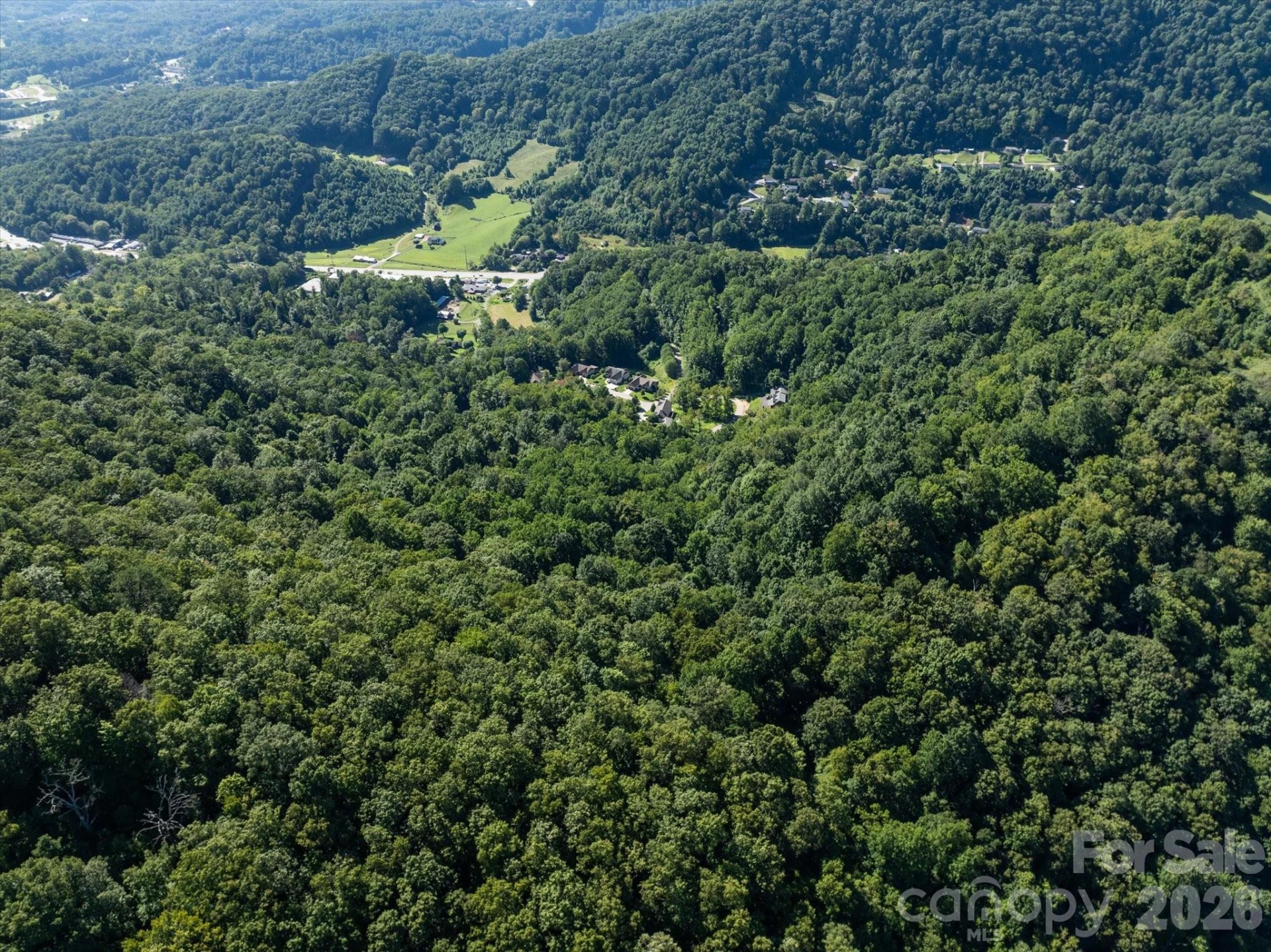 99999 Spy Rock Road - Photo 29