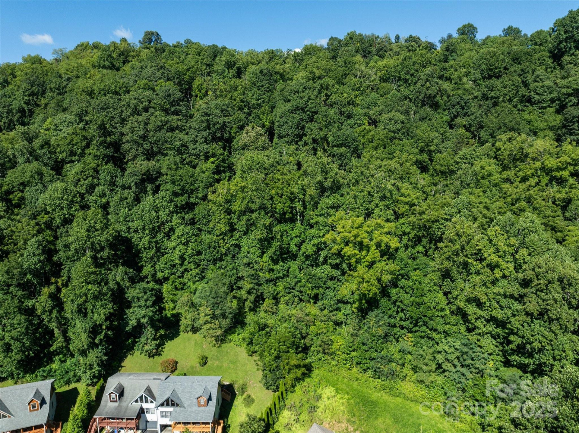 99999 Spy Rock Road - Photo 18