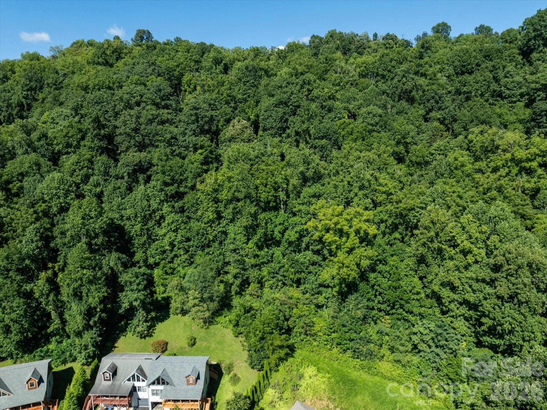 99999 Spy Rock Road - Photo 35