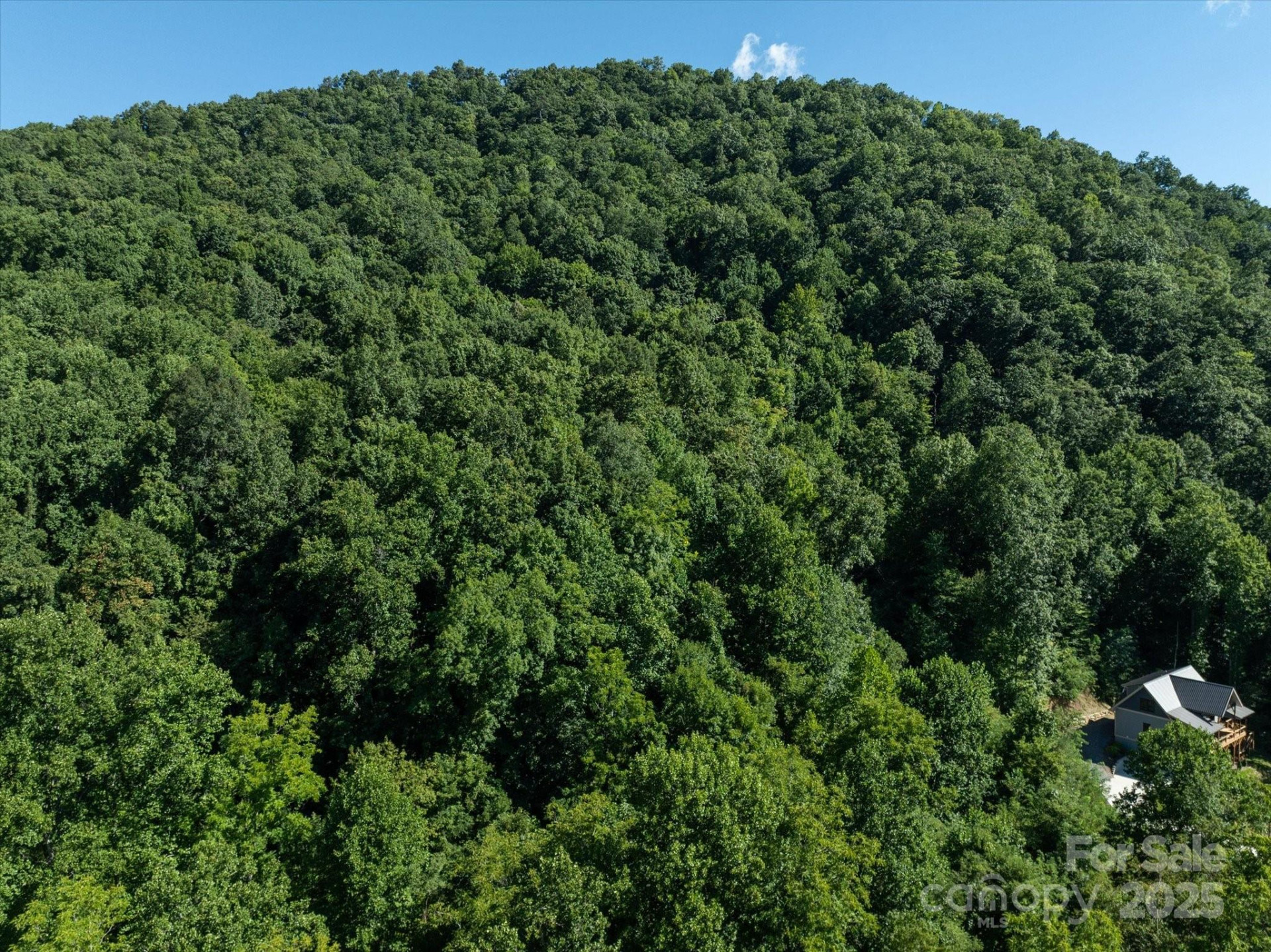 99999 Spy Rock Road - Photo 20