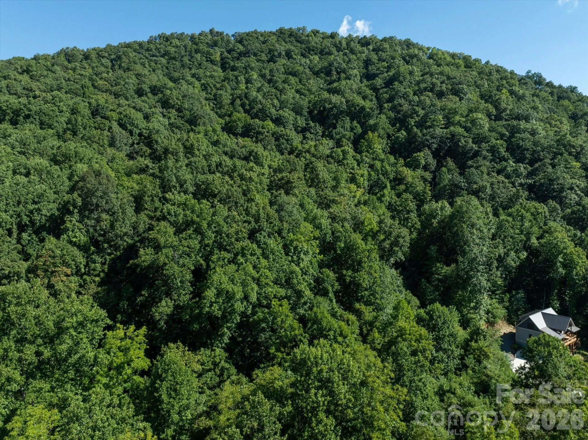 99999 Spy Rock Road - Photo 39