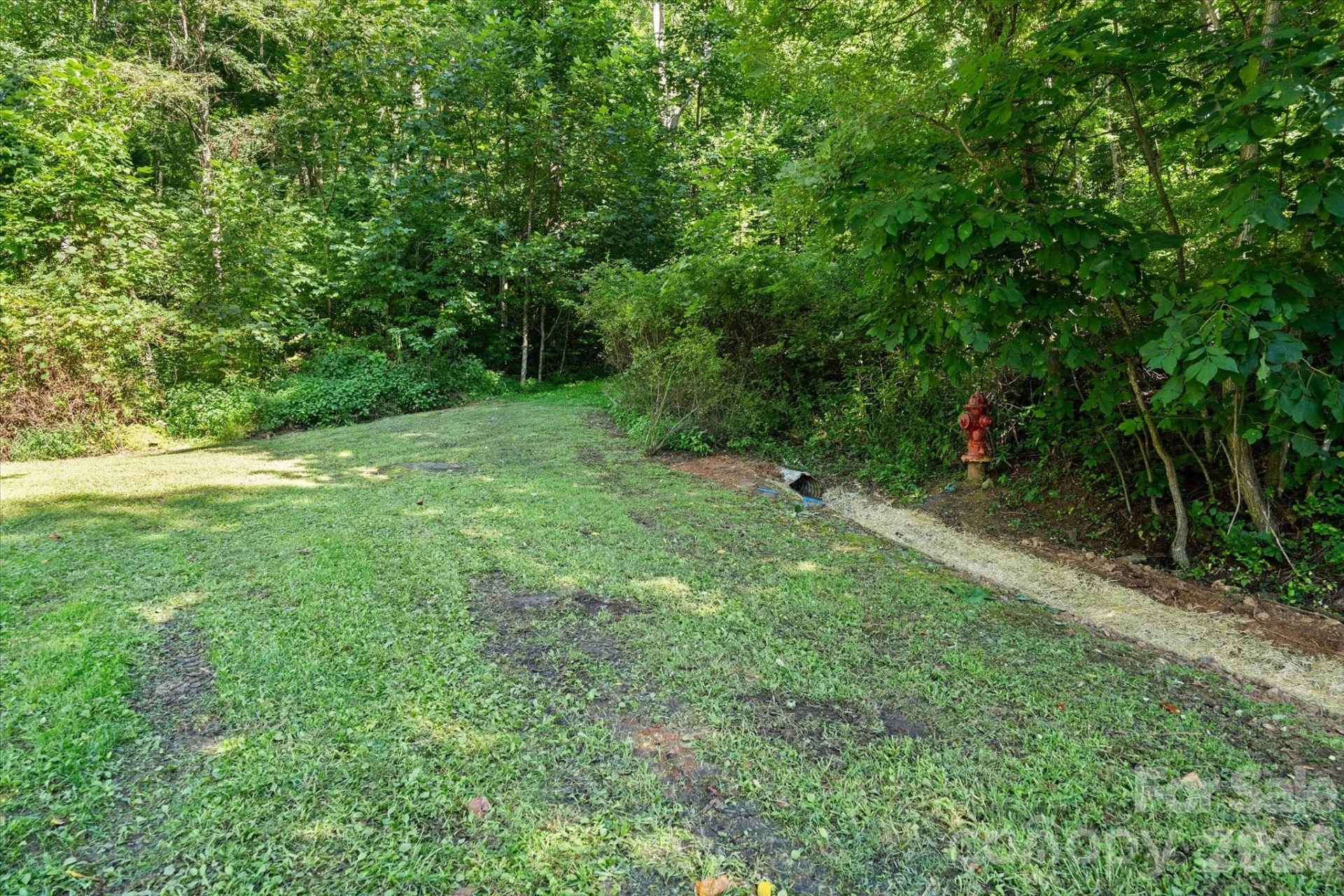 99999 Spy Rock Road - Photo 5