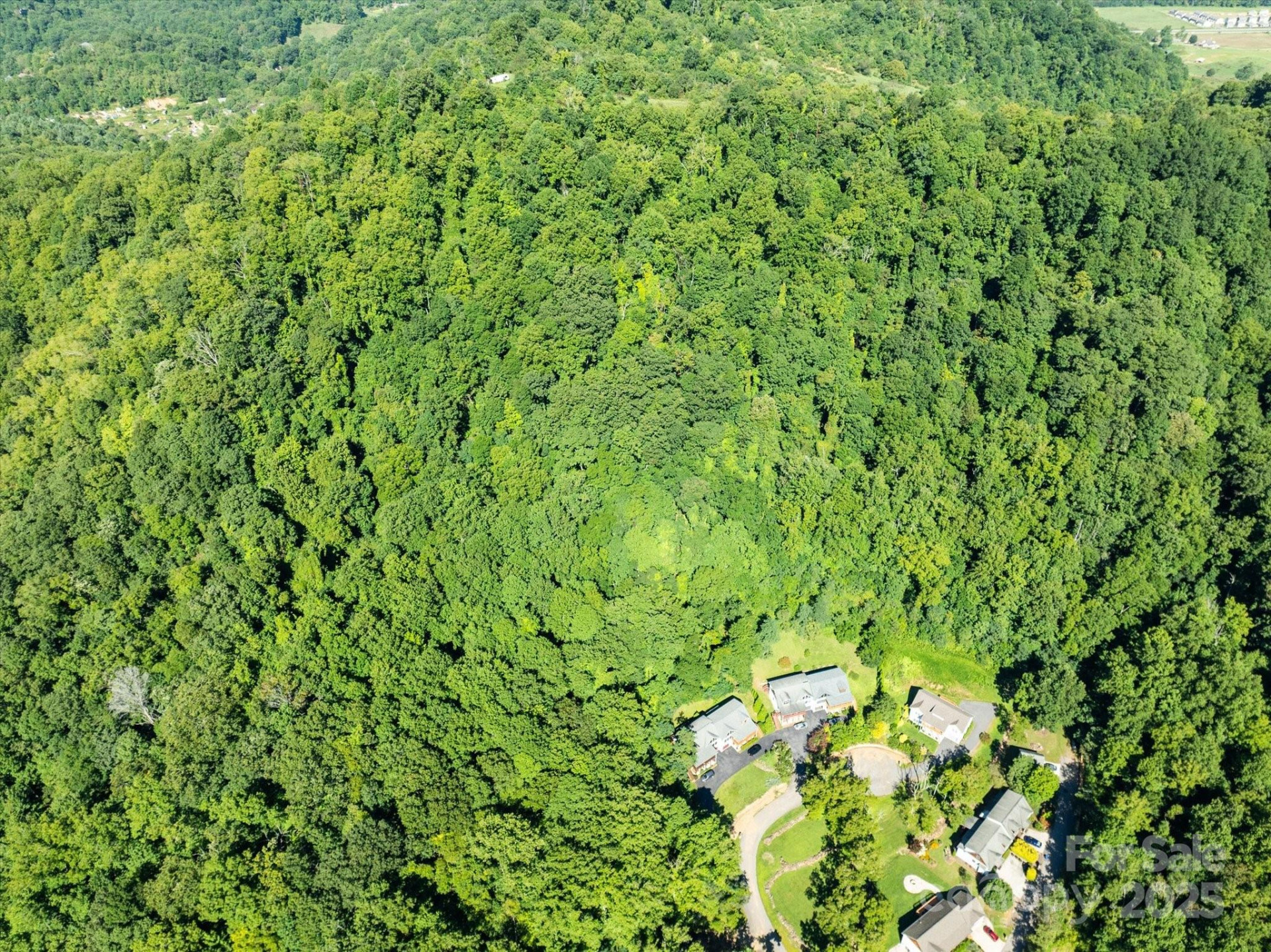 99999 Spy Rock Road - Photo 21