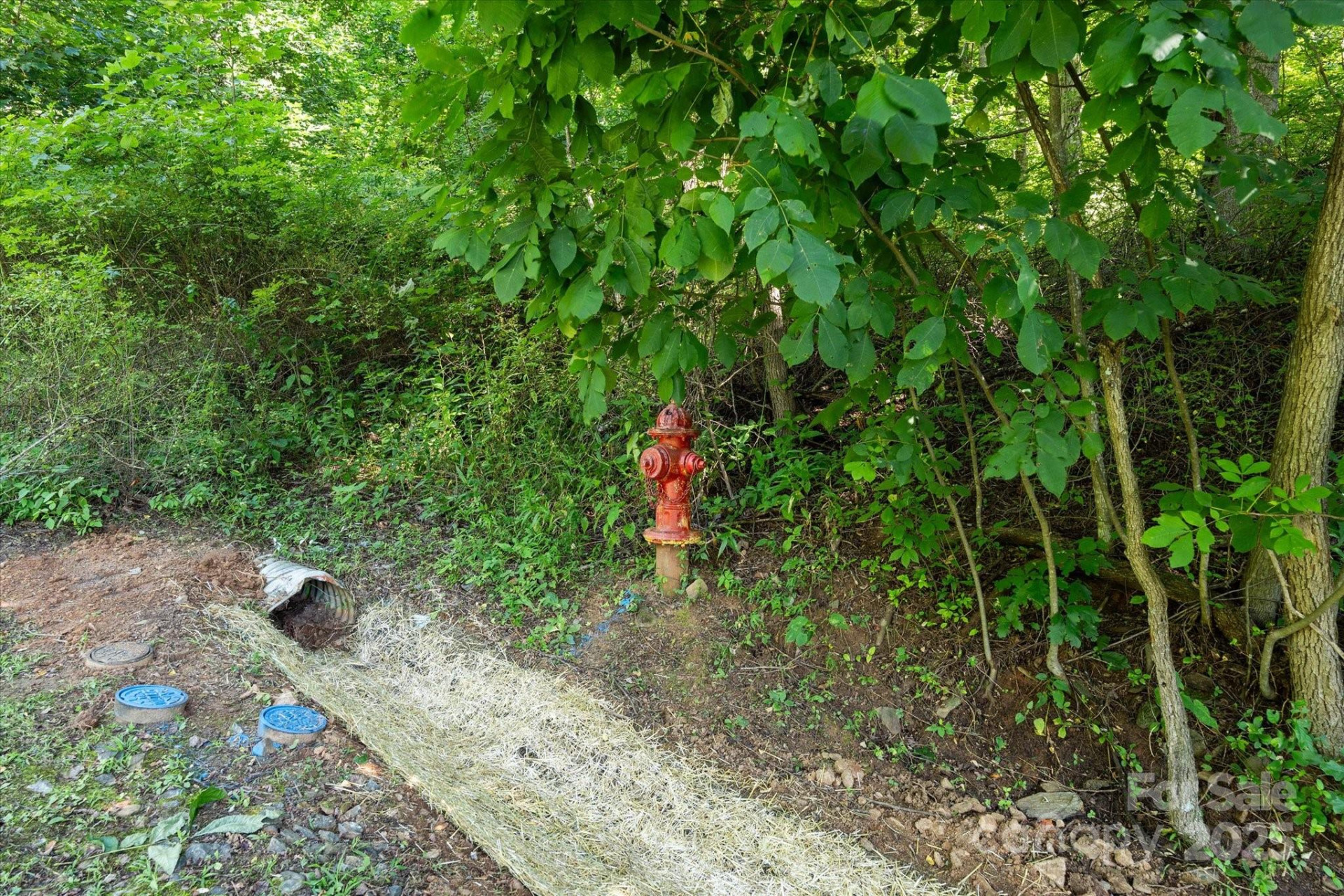 99999 Spy Rock Road - Photo 4