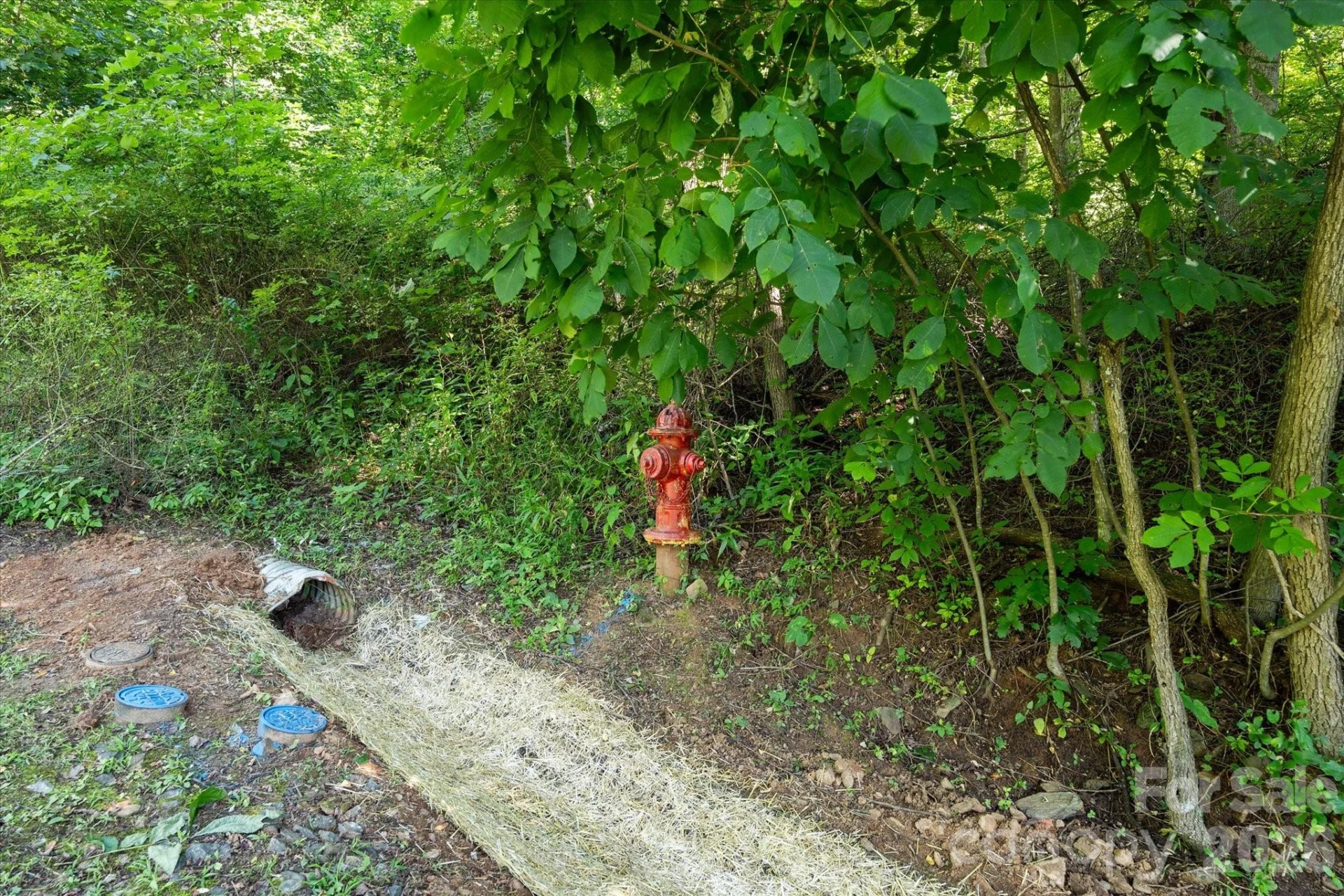 99999 Spy Rock Road - Photo 7