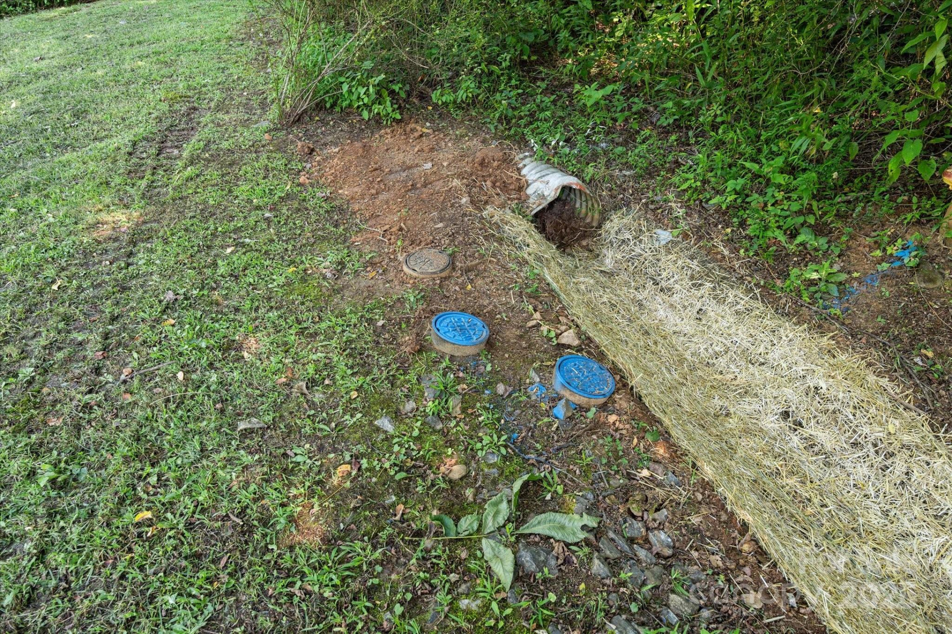 99999 Spy Rock Road - Photo 5