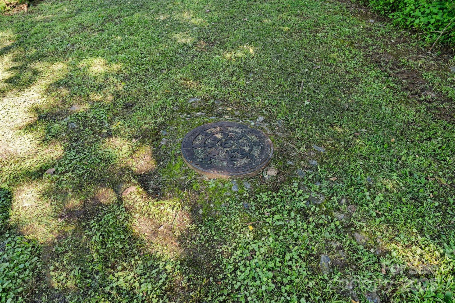 99999 Spy Rock Road - Photo 6