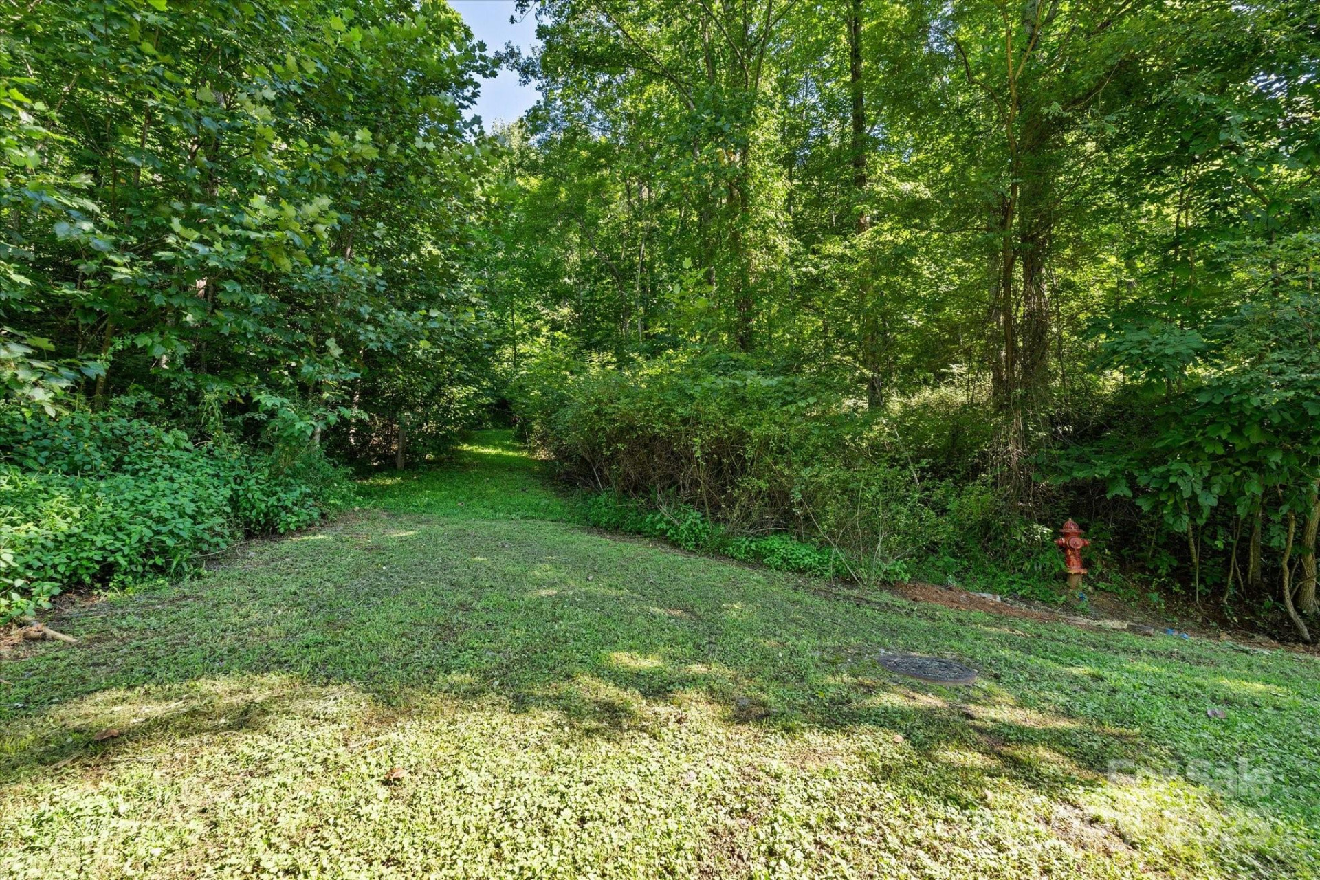 99999 Spy Rock Road - Photo 7