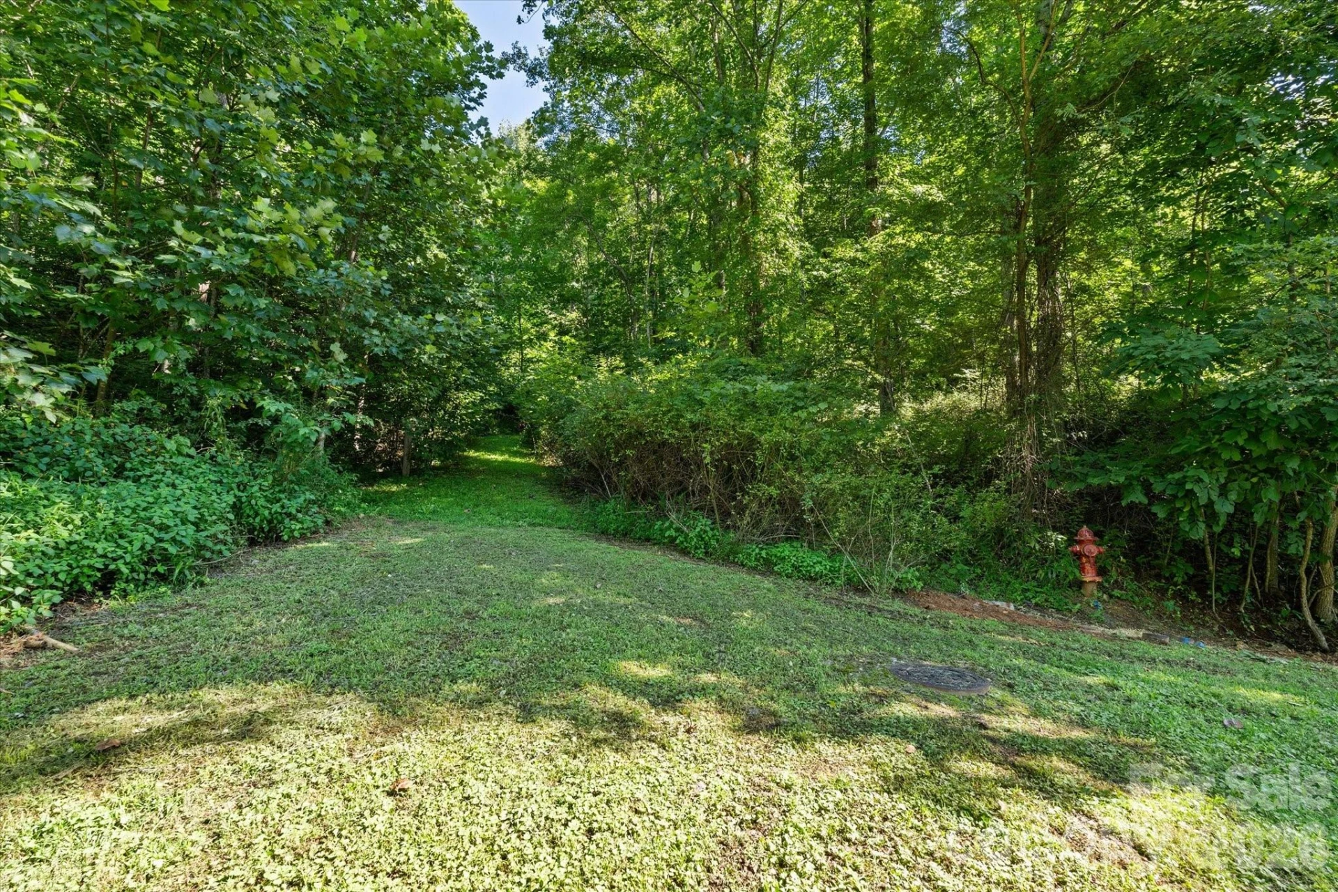 99999 Spy Rock Road - Photo 13