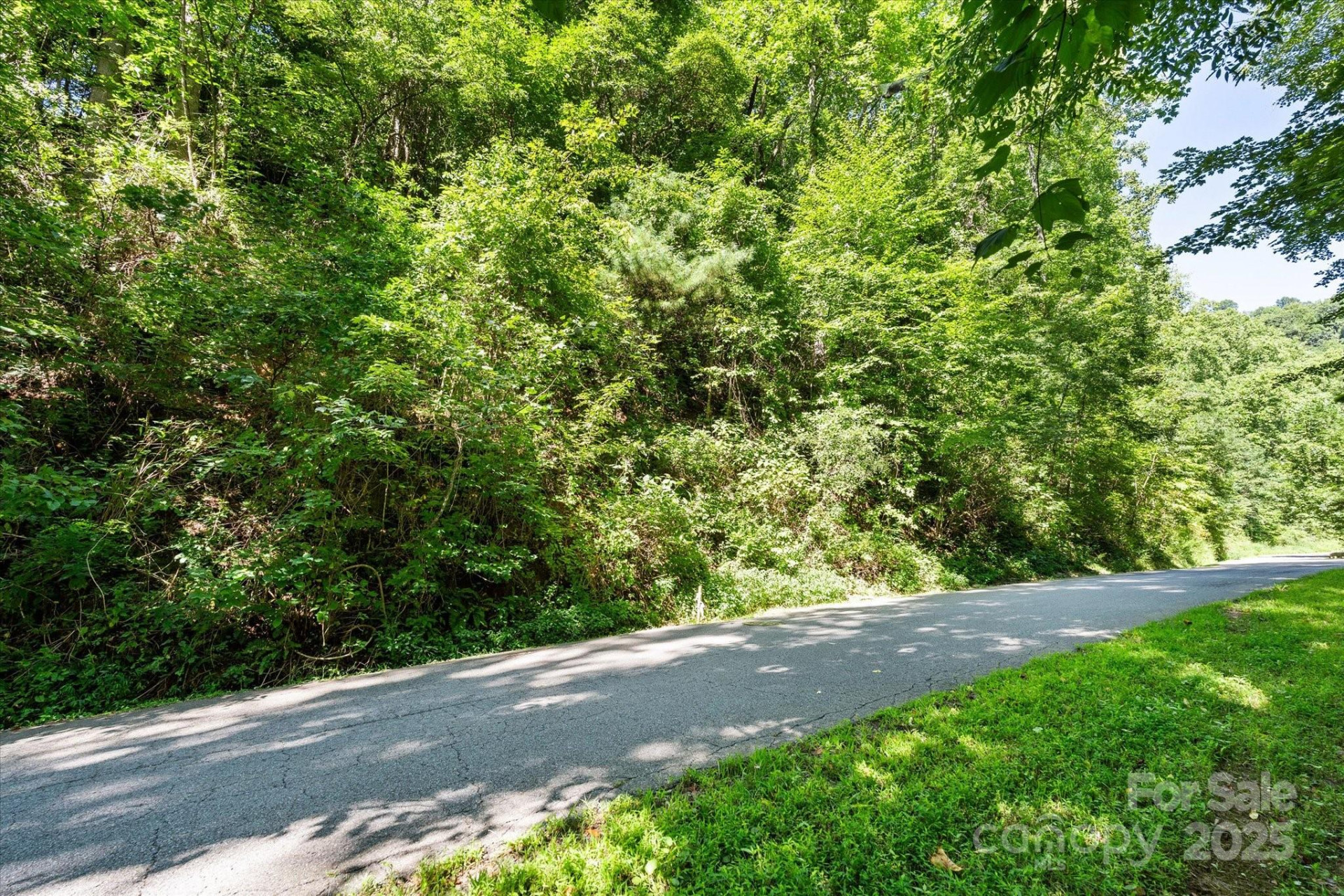 99999 Spy Rock Road - Photo 10