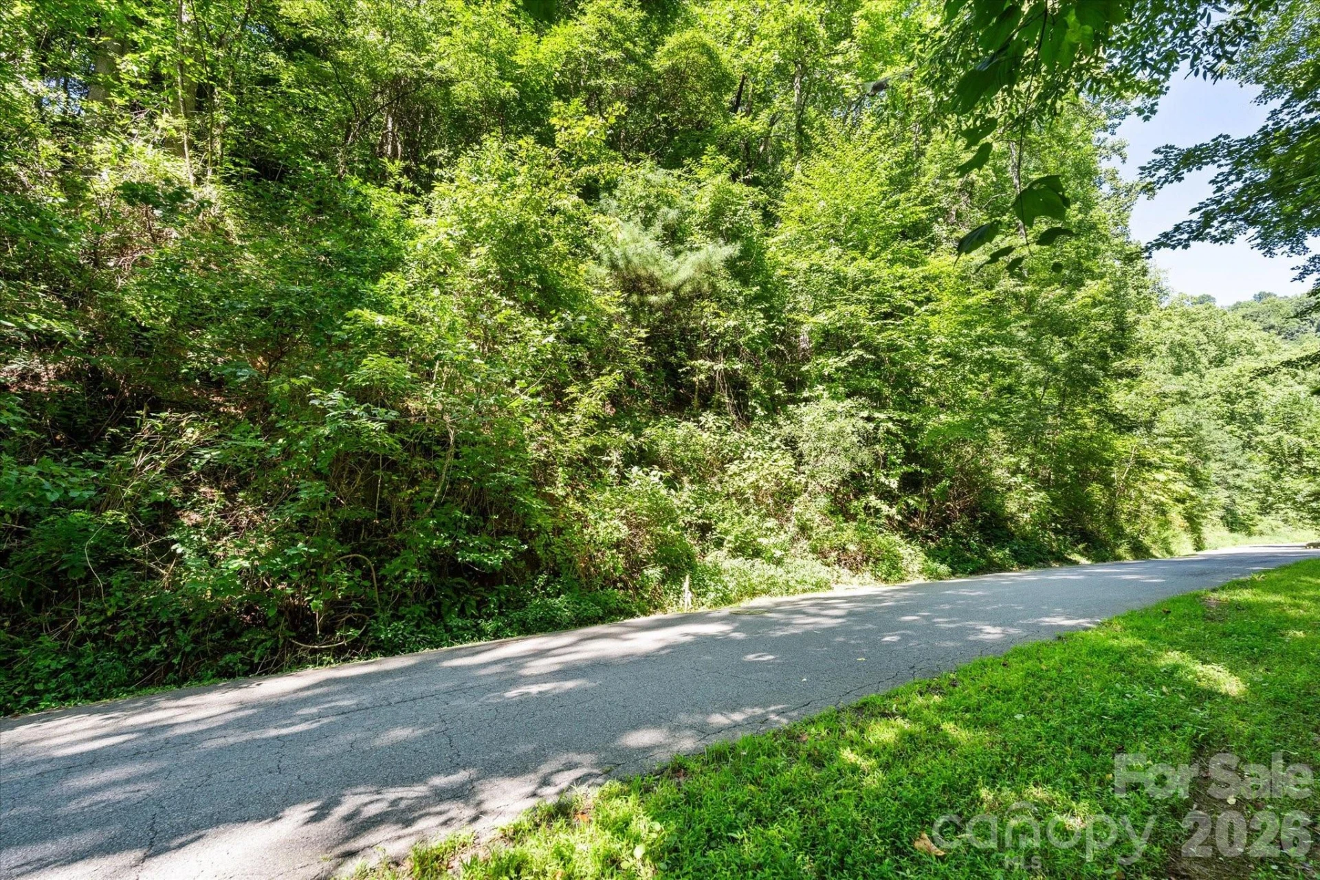 99999 Spy Rock Road - Photo 19