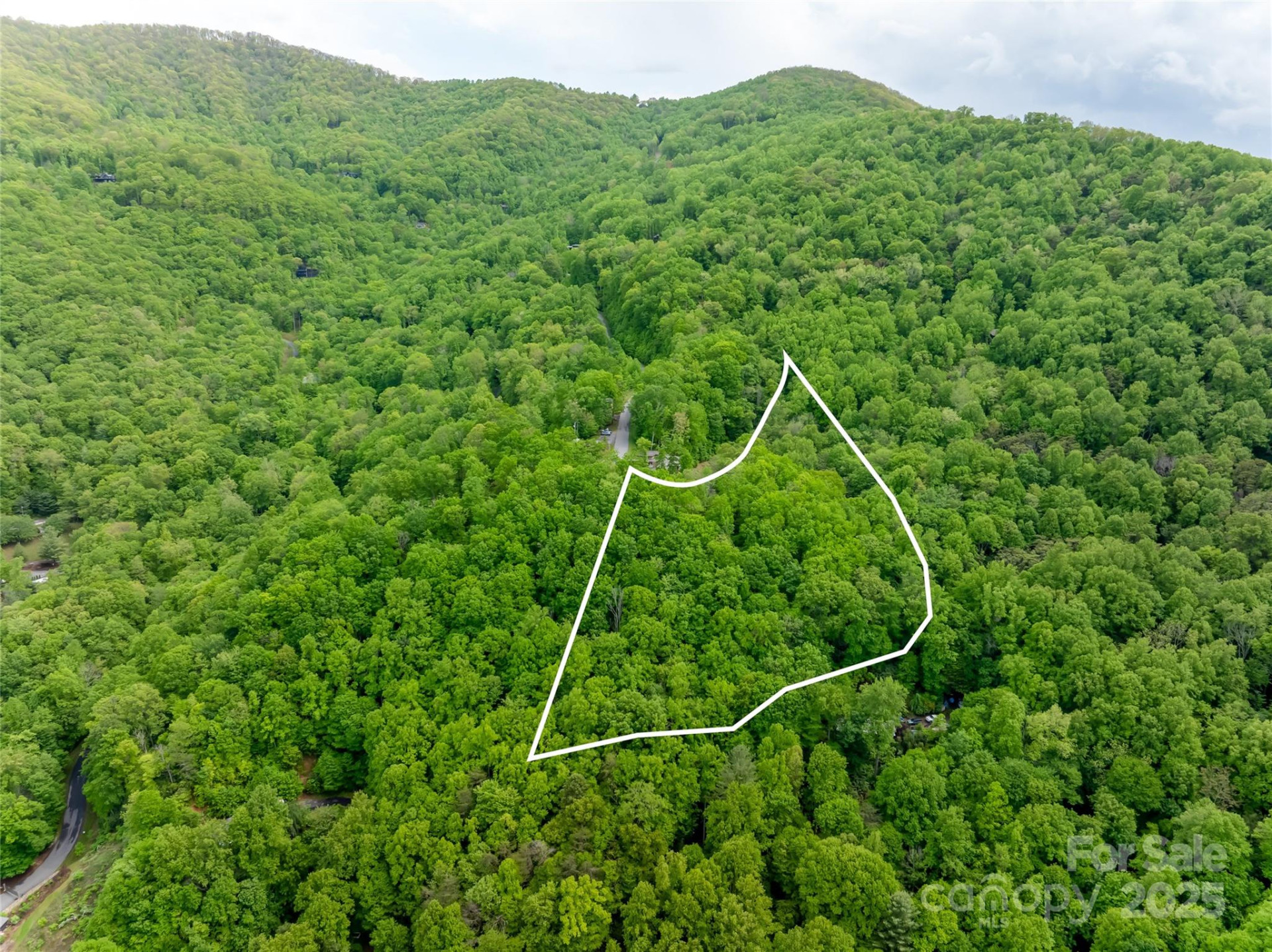 1111 Elm Tree Lane - Photo 2