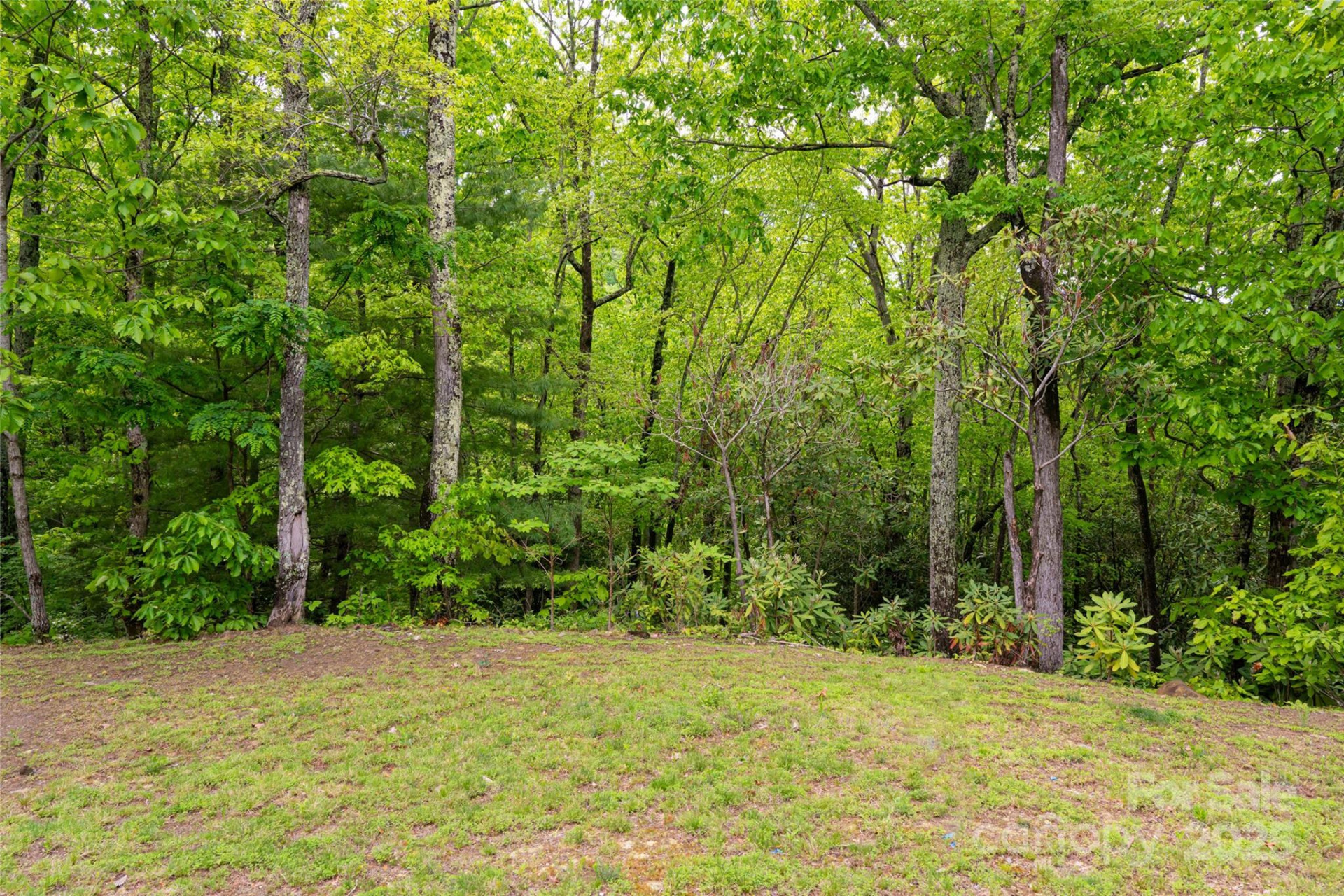 1111 Elm Tree Lane - Photo 3
