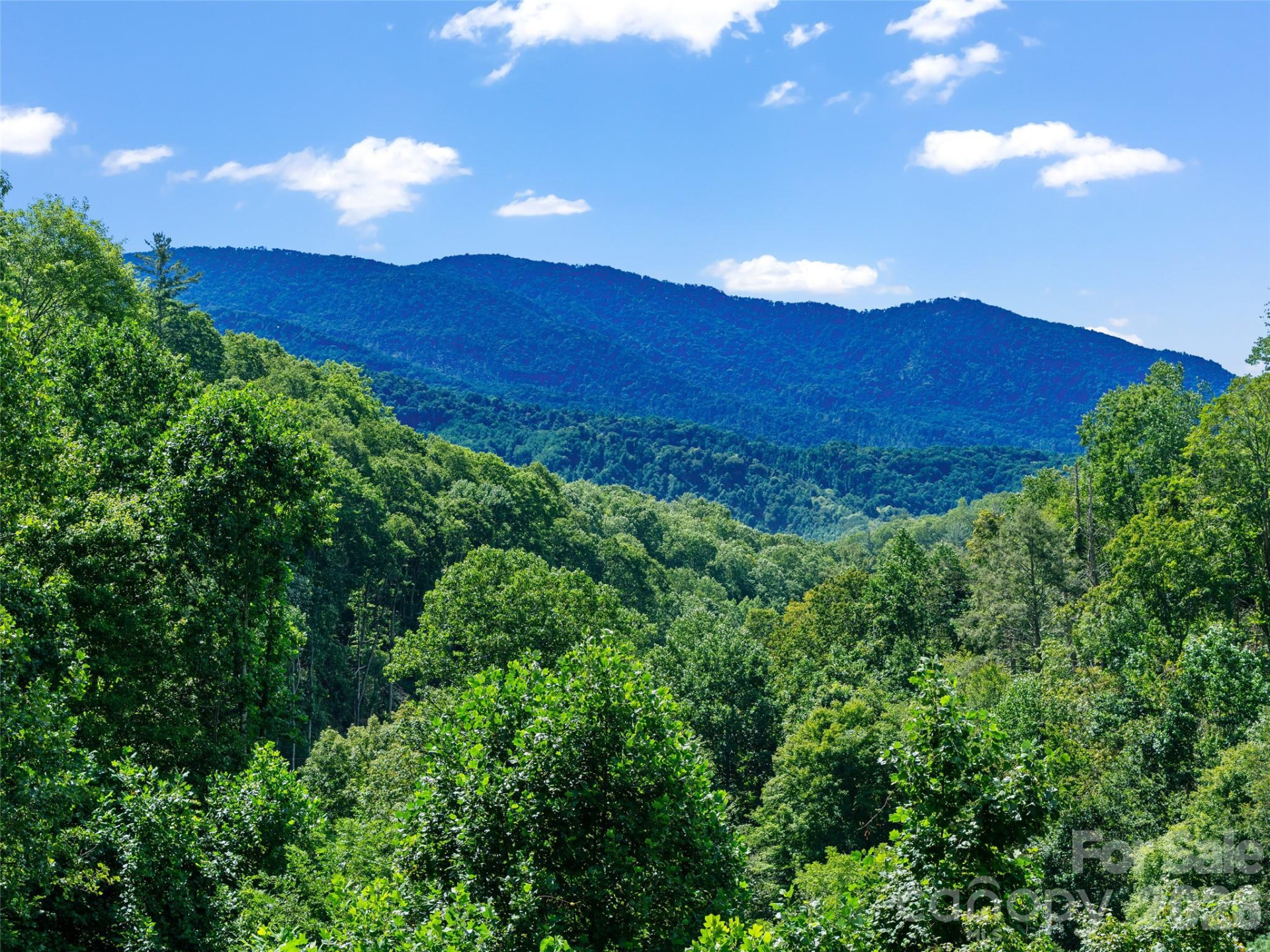 710 Greasy Creek Road - Photo 4