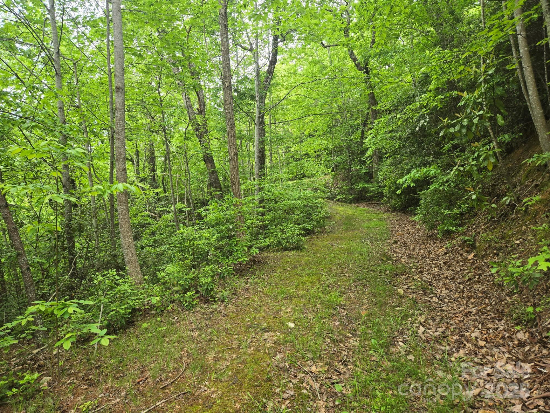Lot 4 Quail Ridge Boulevard - Photo 4