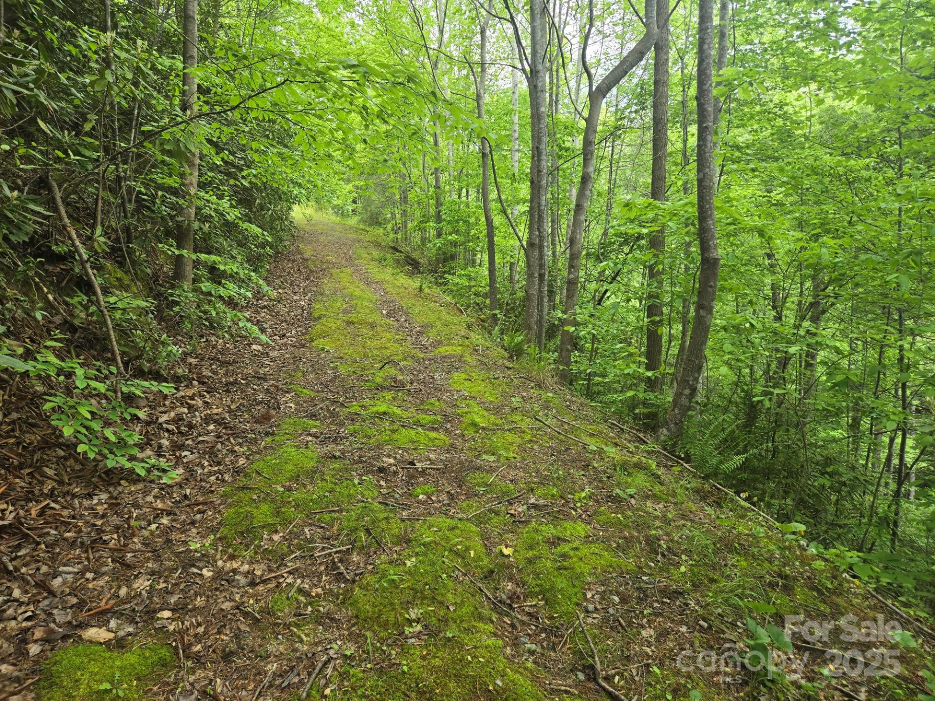 Lot 4 Quail Ridge Boulevard - Photo 5