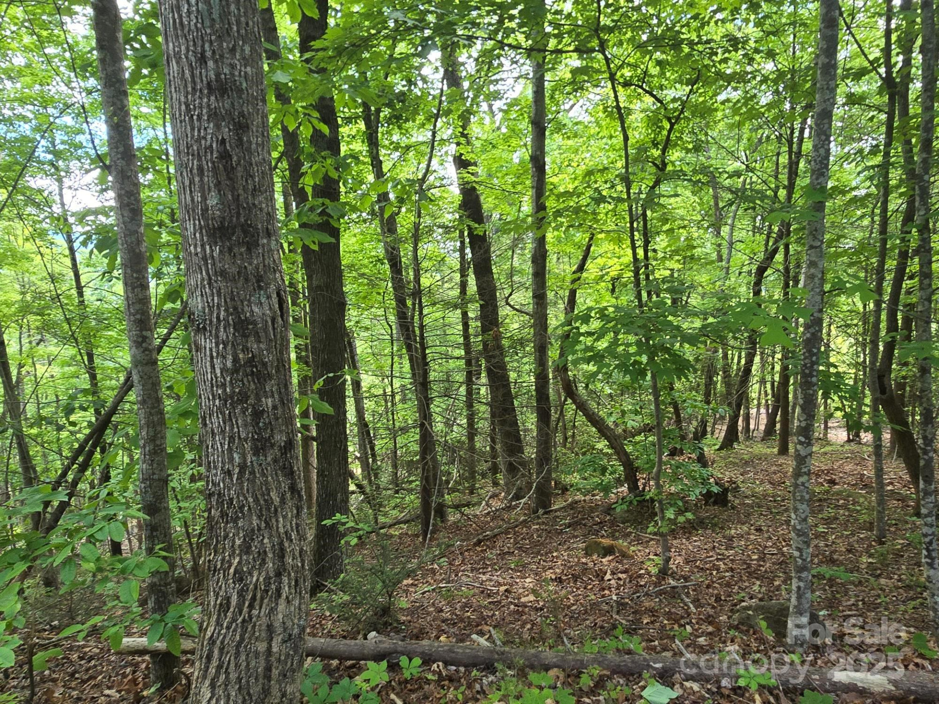 Lot 4 Quail Ridge Boulevard - Photo 8