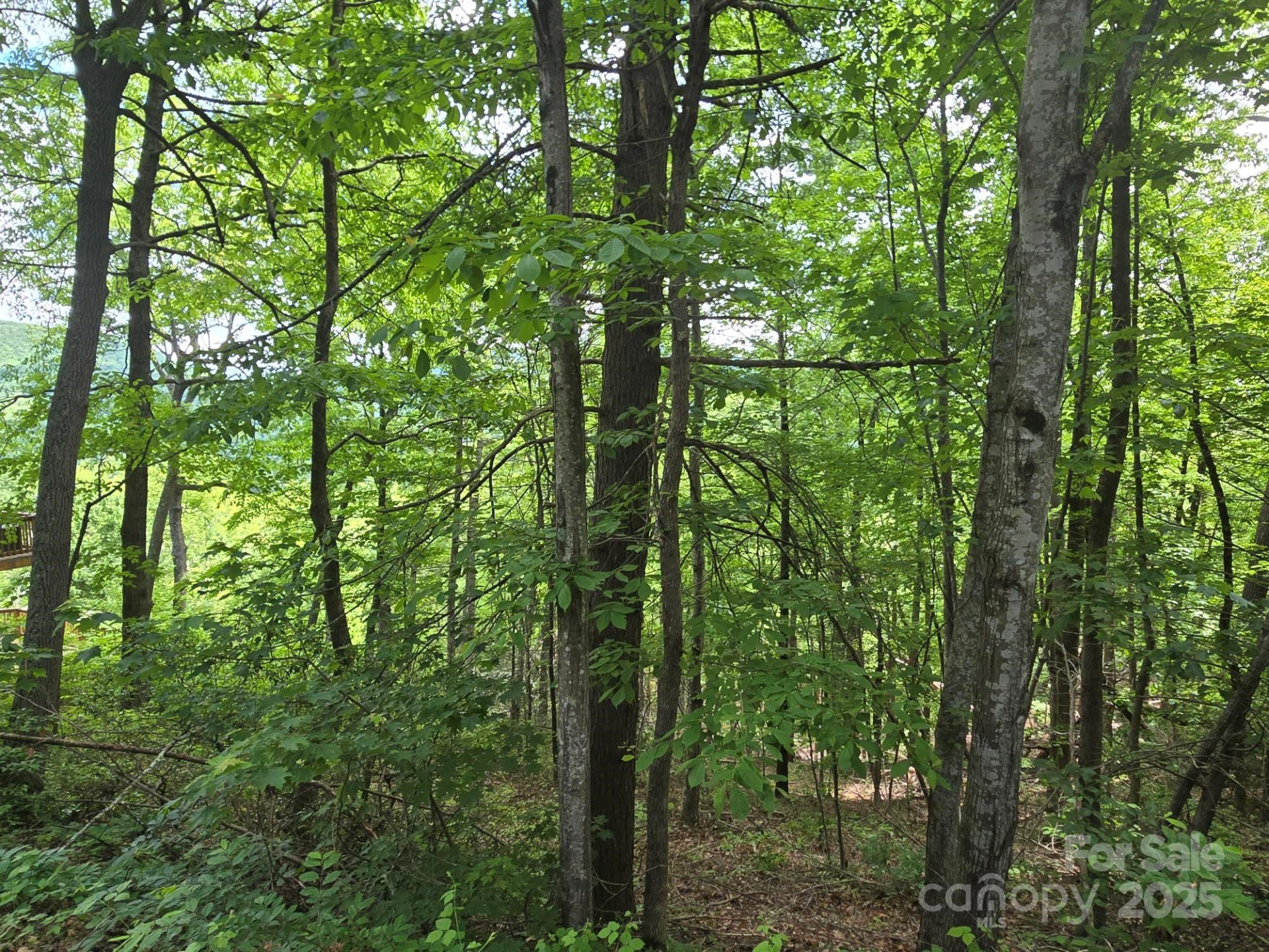 Lot 4 Quail Ridge Boulevard - Photo 9