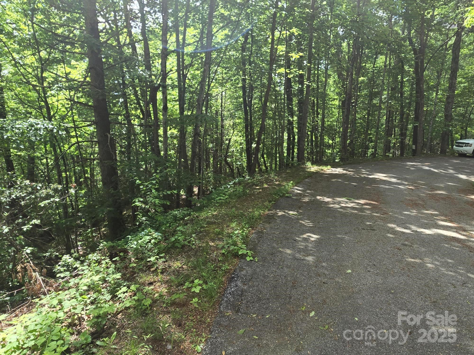 Lot 4 Quail Ridge Boulevard - Photo 10