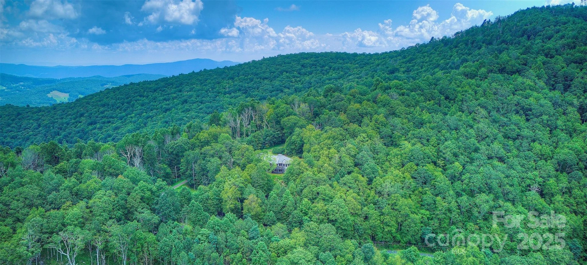 1024 Arrowhead Ridge Road - Photo 48