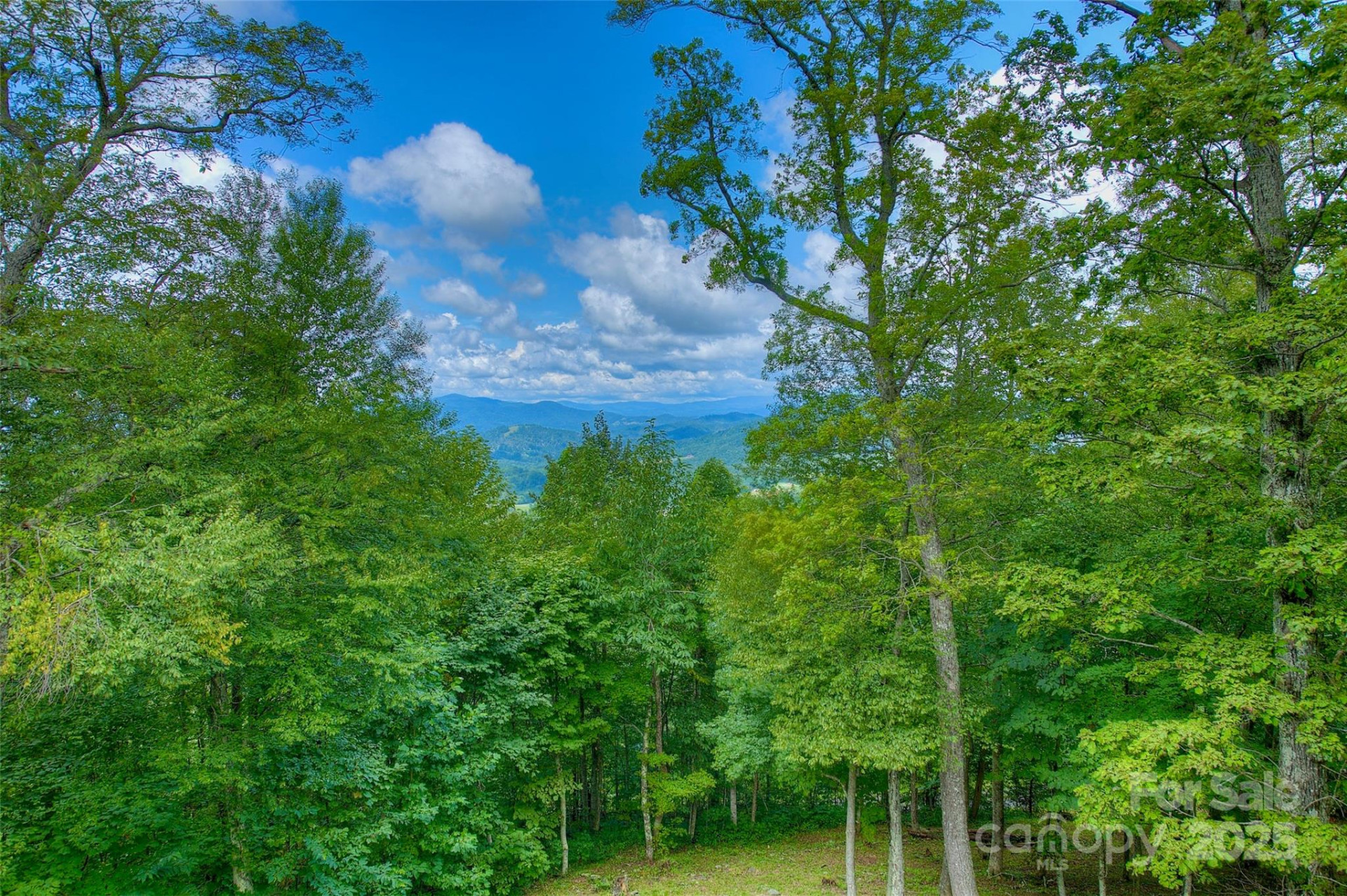 1024 Arrowhead Ridge Road - Photo 8