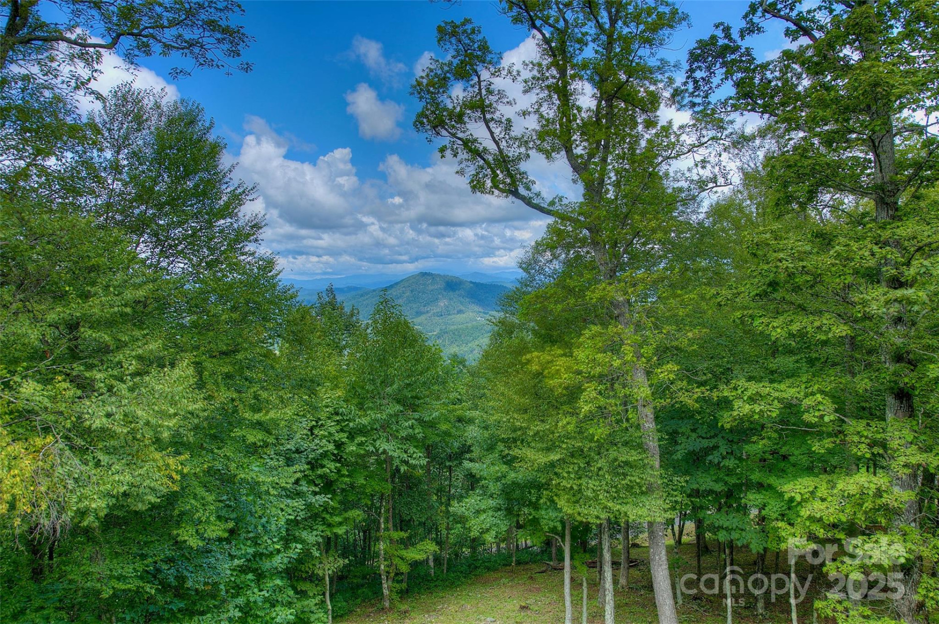 1024 Arrowhead Ridge Road - Photo 9