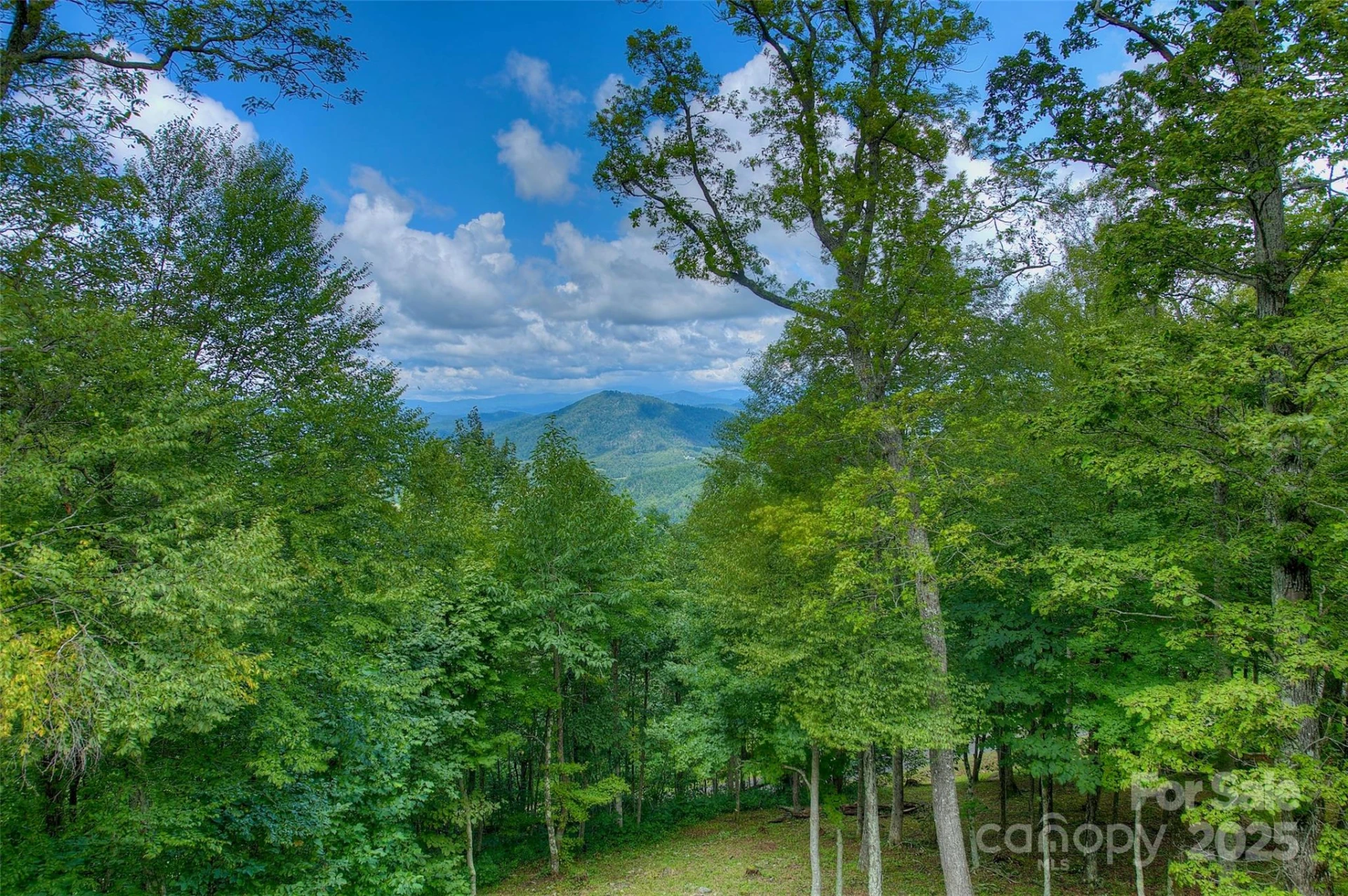 1024 Arrowhead Ridge Road - Photo 9