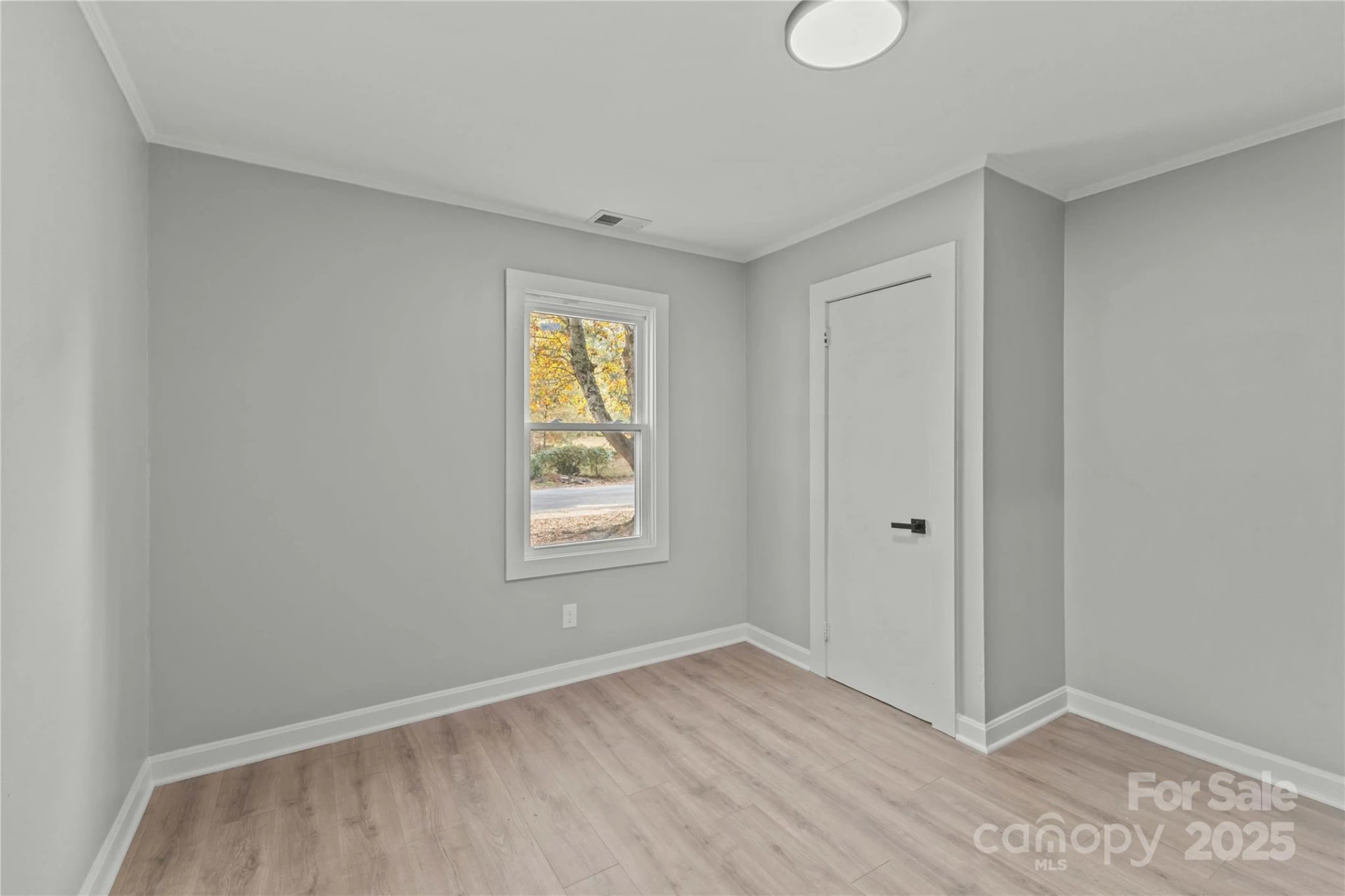 816 Miller Street - Photo 23