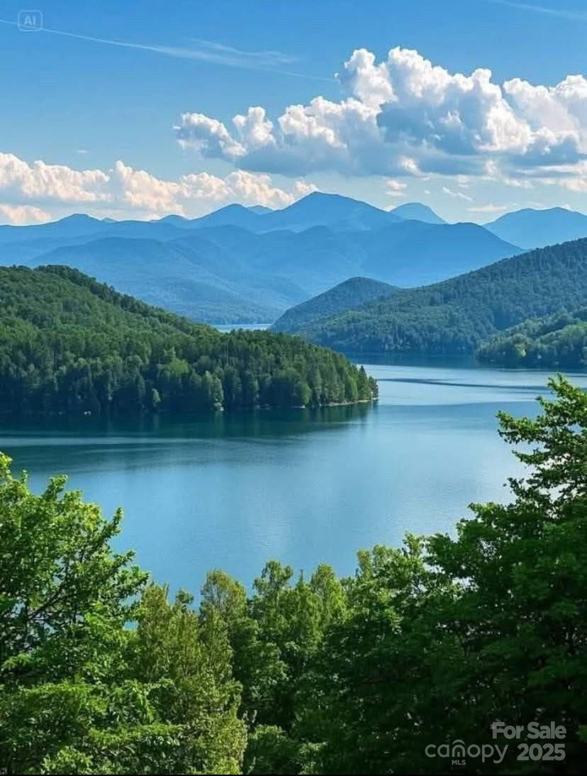 0 Winesap Boulevard #81 - Photo 2