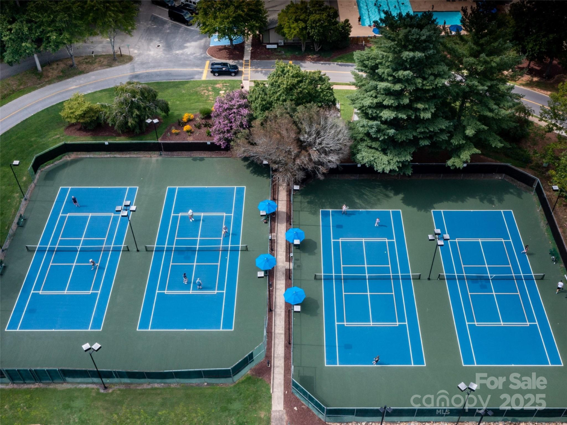 0 Winesap Boulevard #81 - Photo 16