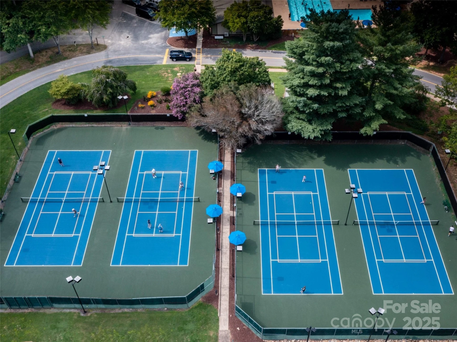 0 Winesap Boulevard #81 - Photo 16